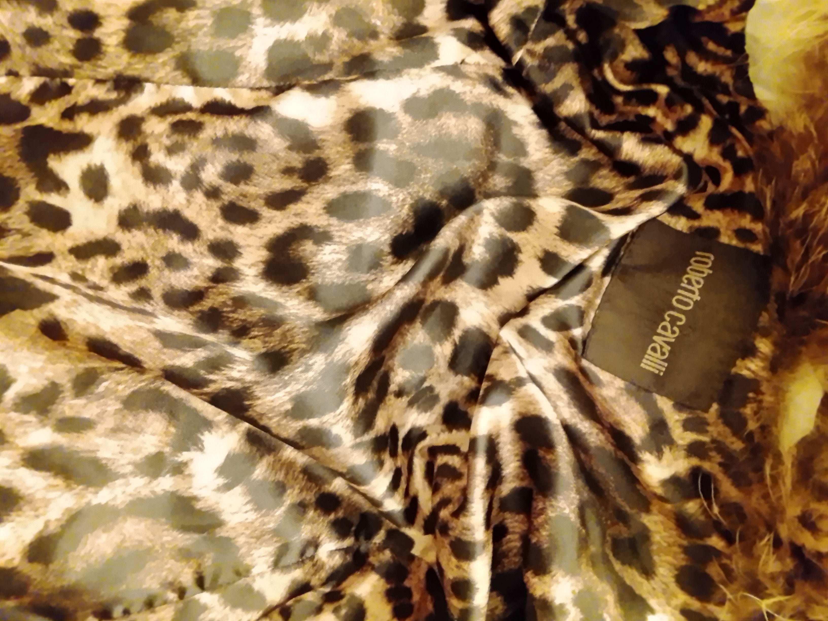 Roberto Cavalli Roberto Cavalli fur coat Size S / US 4 / IT 40 - 8 Thumbnail