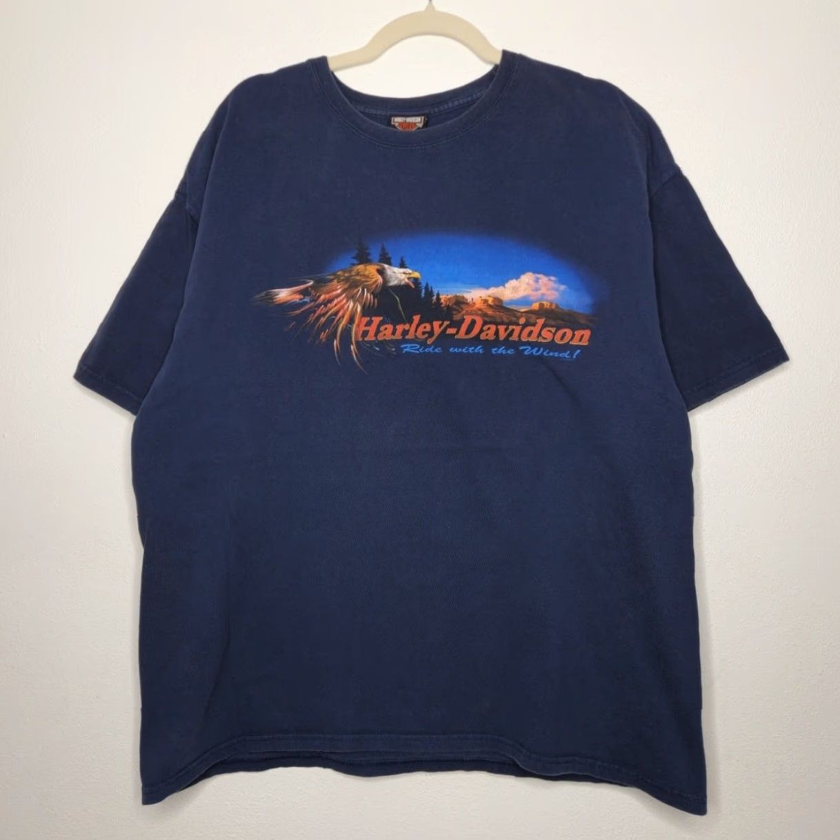 Harley Davidson VINTAGE Harley Davidson Eagle Blue Nature XL Double Sided y2k Biker HD Skater Shirt Mens Size US XL / EU 56 / 4 - 2 Thumbnail