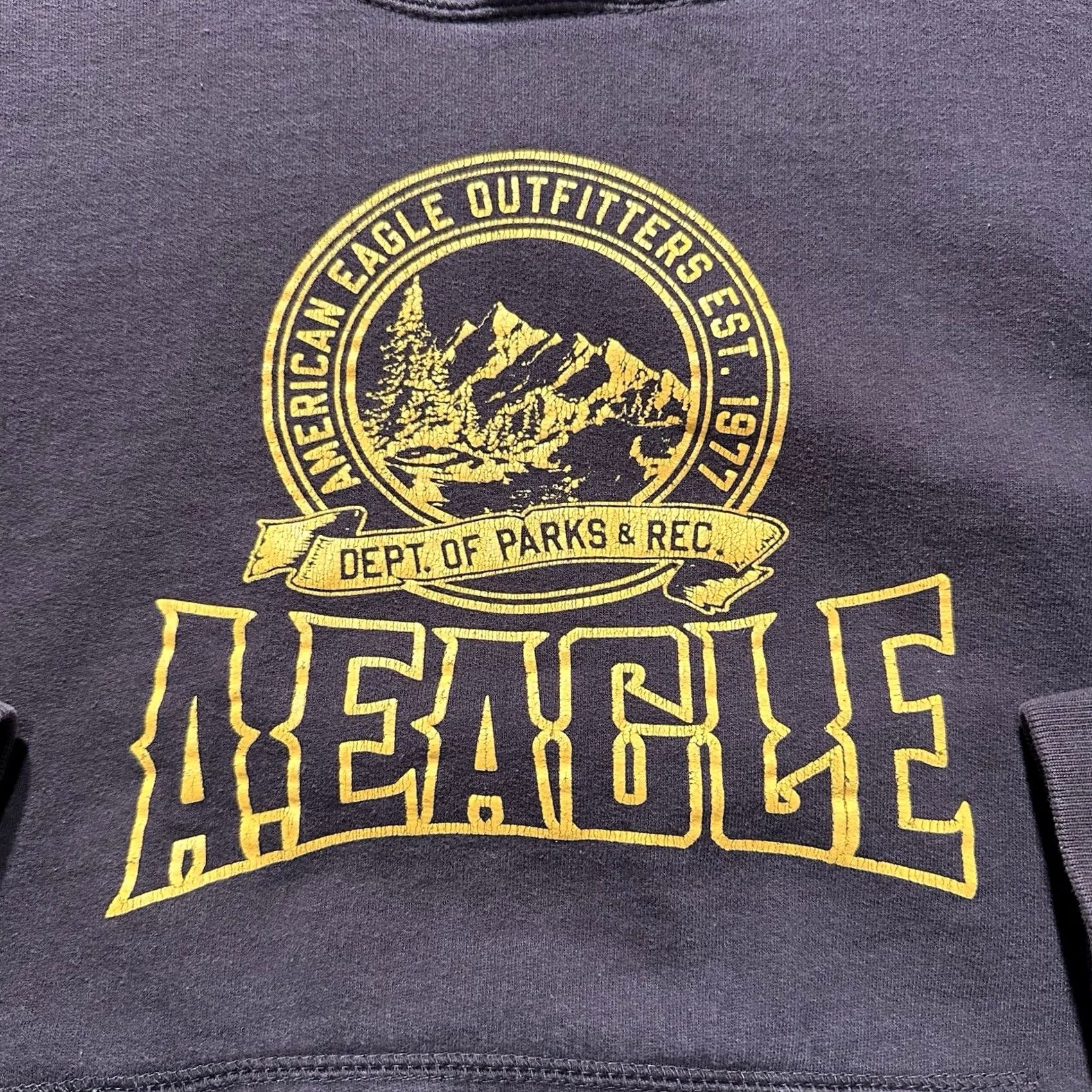 American Eagle Outfitters American Eagle Sweatshirt Mens Large Brown Cotton Fleece Y2K Pullover Hoodie EUC - Long Sleeve Size US L / EU 52-54 / 3 - 3 Thumbnail