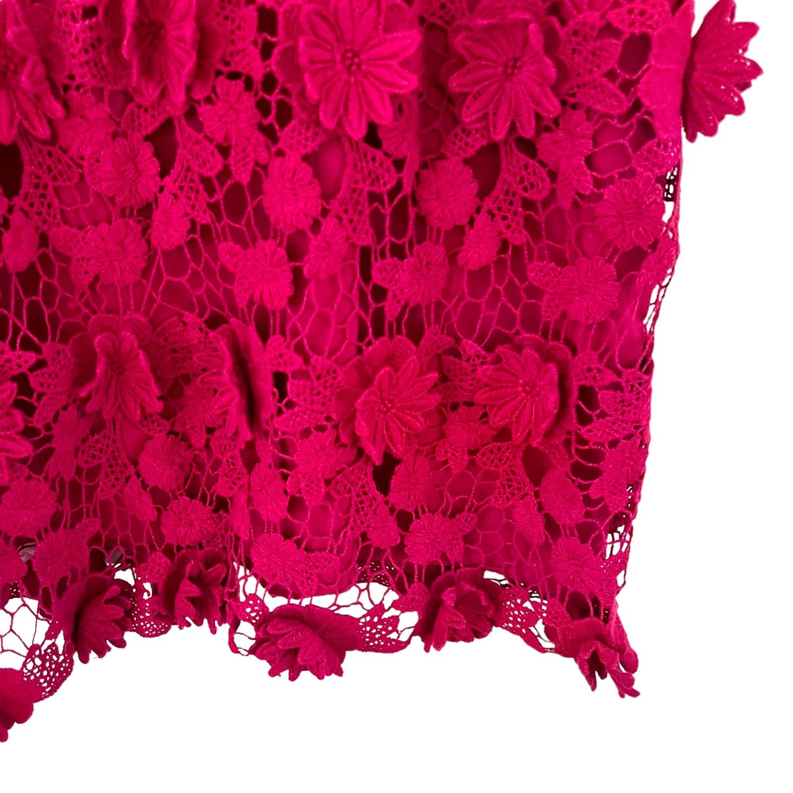 Anthropologie Anthropologie Thistlepearl red floral lace mini dress size 4 Size S / US 4 / IT 40 - 11 Thumbnail