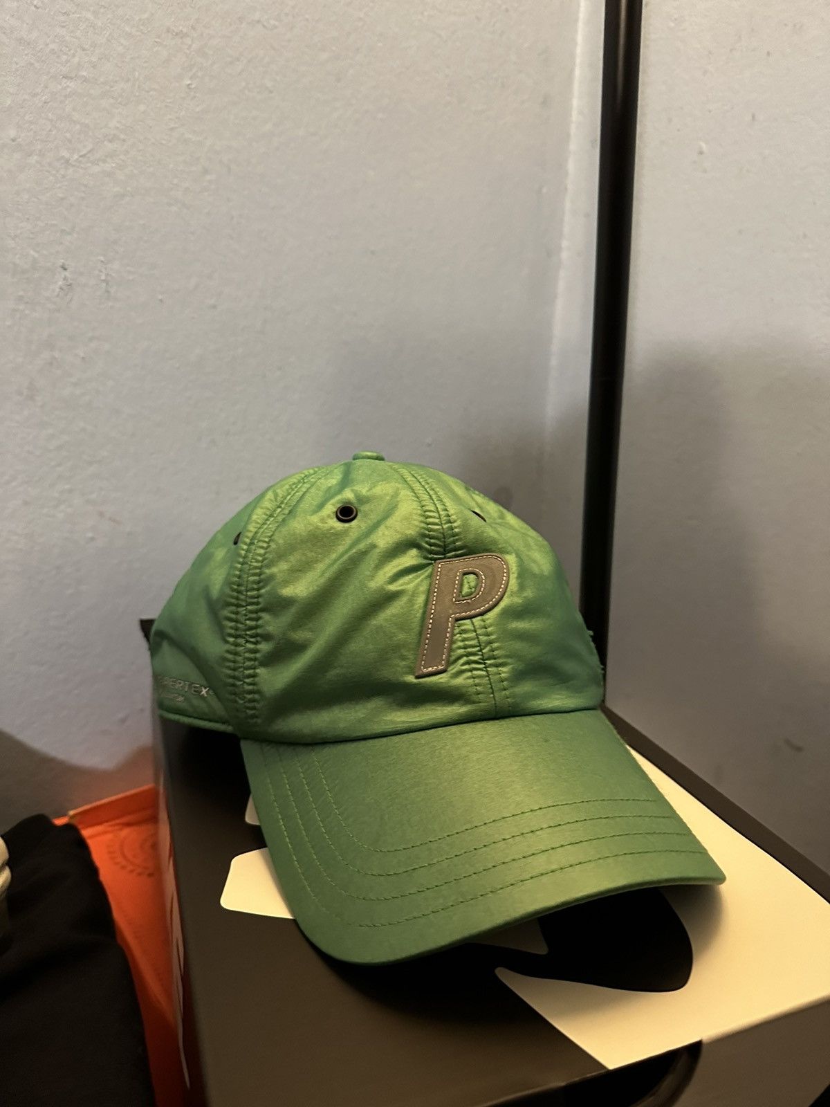 Palace Pigment 3D 6-Panel Green