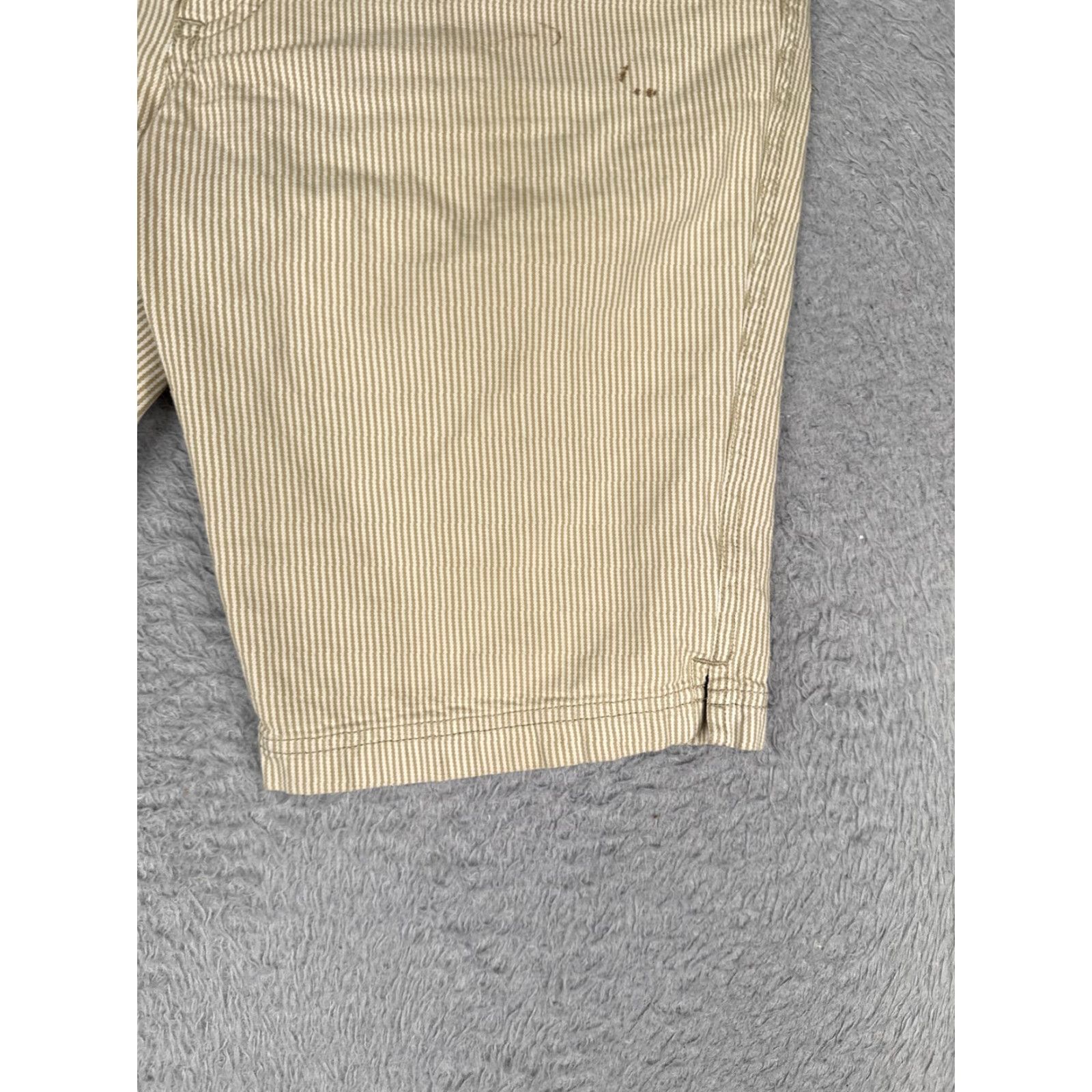Patagonia Patagonia Bermuda Shorts Womens 6 Beige Striped Organic Cotton Twill Casual Size 28" / US 6 / IT 42 - 2 Thumbnail