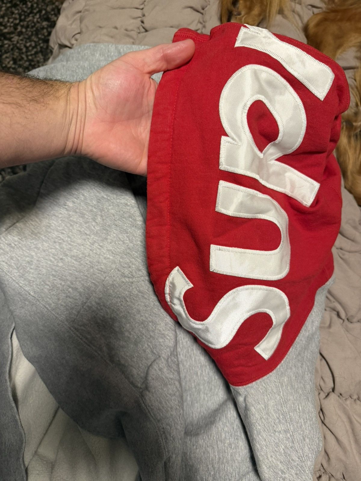 Supreme Supreme - hoodie logo Size US L / EU 52-54 / 3 - 9 Thumbnail