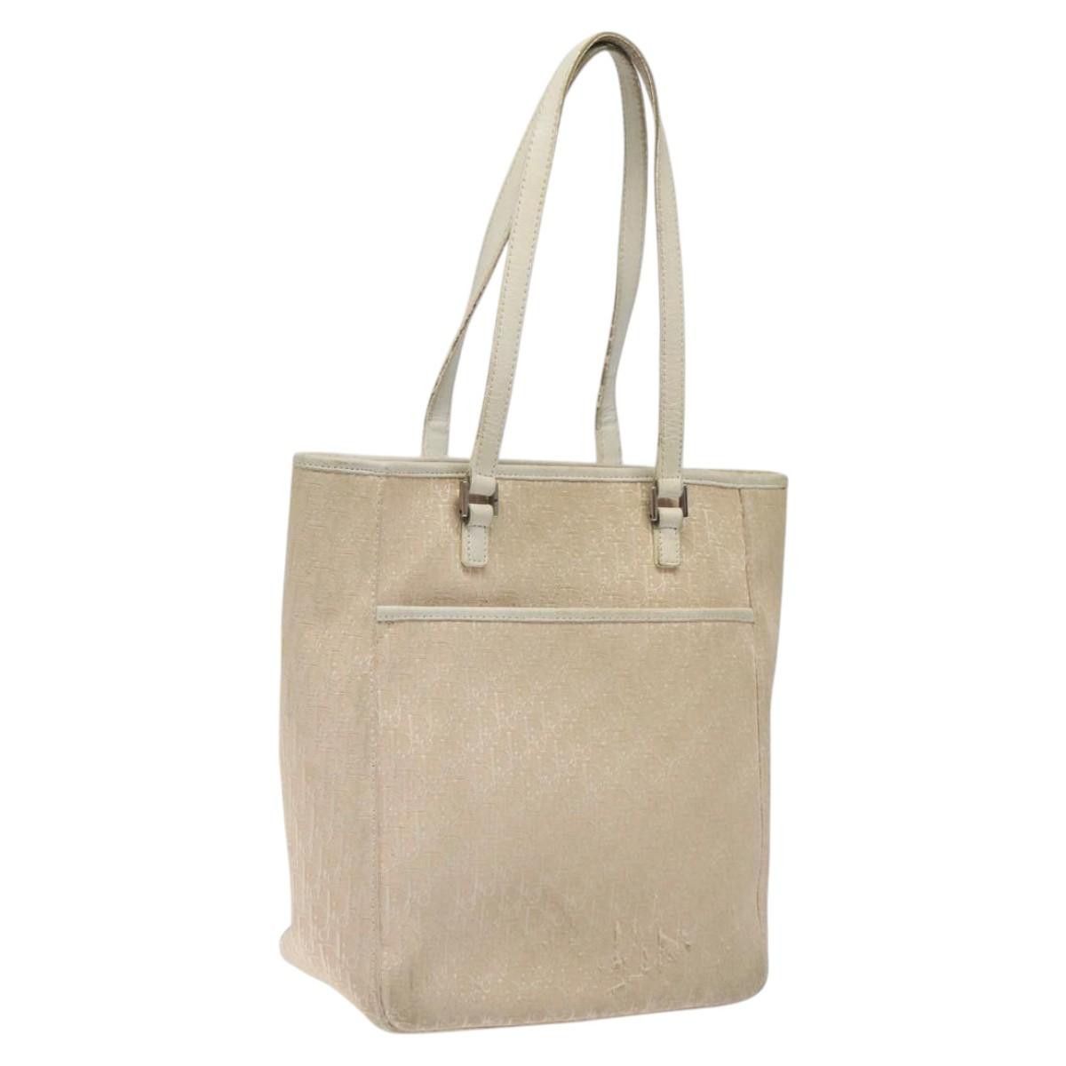 DIOR Trotter Canvas Tote Bag Pink Silver
