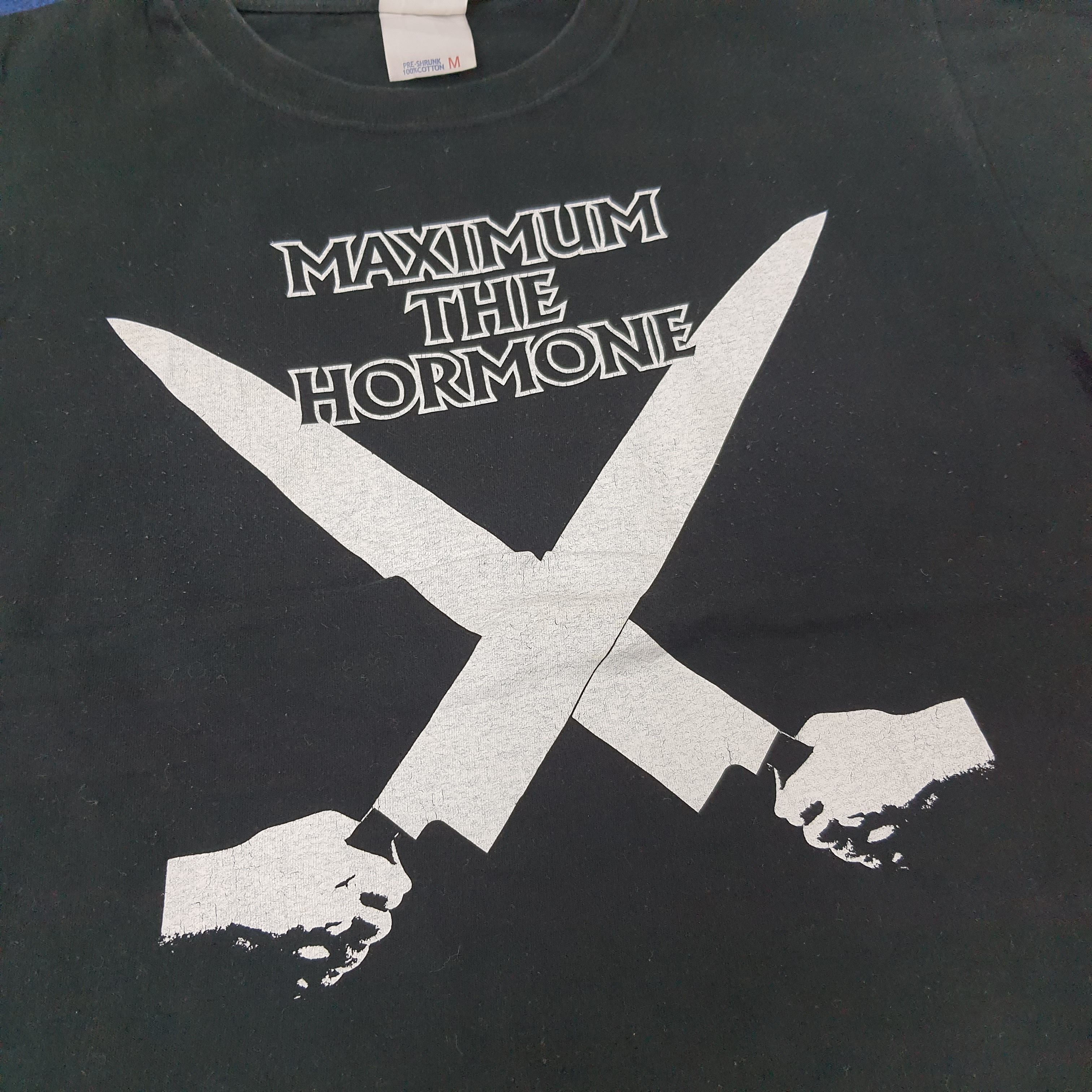 Band Tees × Japanese Brand × Vintage Vintage Maximum The Hormone Japan Metal Band Tshirt C219N29 Size US L / EU 52-54 / 3 - 2 Thumbnail