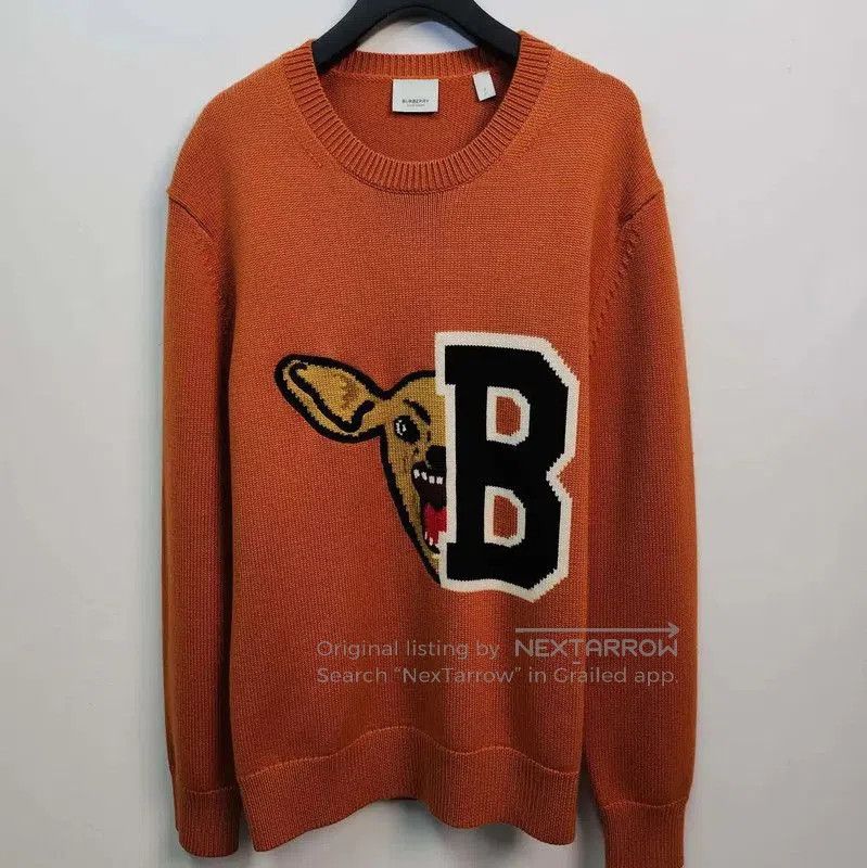 Burberry Burberry Orange Knit Sweater with Logo Design. Size M / US 6-8 / IT 42-44 - 1 Thumbnail