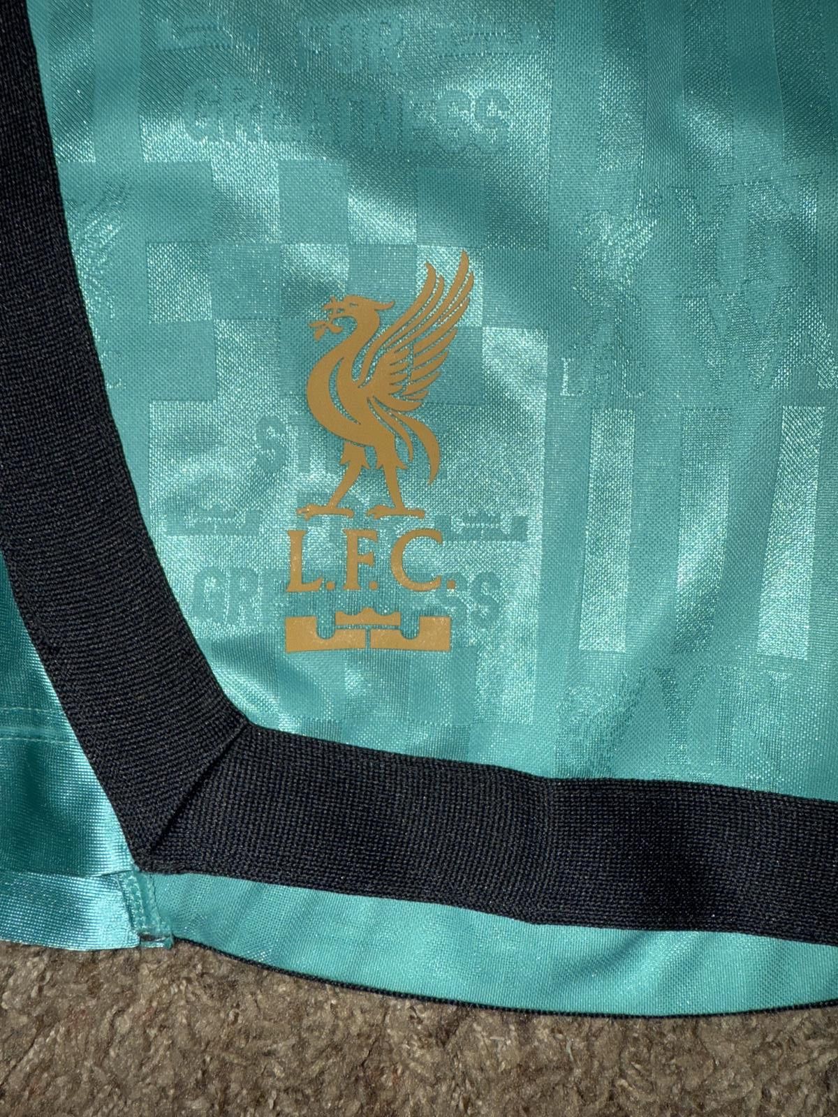 Nike Nike Men’s Liverpool FC x LeBron James 2024 DNA Short Sample Size US 34 / EU 50 - 2 Thumbnail
