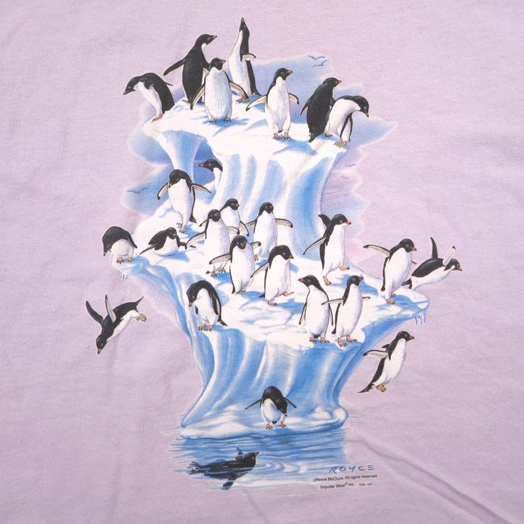 Anvil VINTAGE Anvil Shirt Womens XL Penguin Graphic Nature Art Royce McClure Animal Print Tee Size XL / US 12-14 / IT 48-50 - 4 Thumbnail