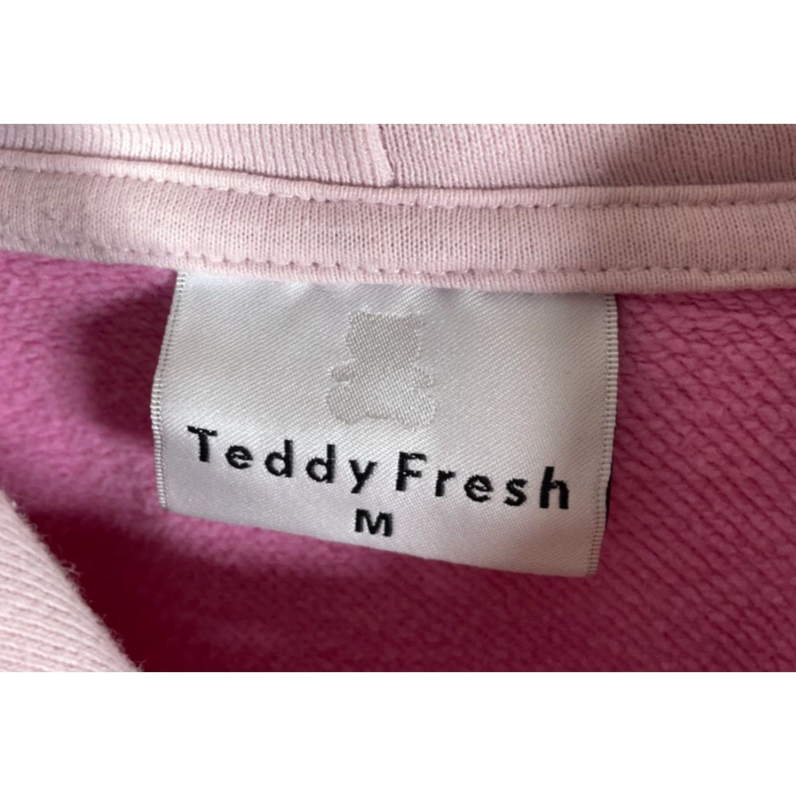 Teddy Fresh Teddy Fresh Color Block Hoodie Adult Medium Pink Purple Sweatshirt Heavyweight Hoodie Size US M / EU 48-50 / 2 - 3 Thumbnail