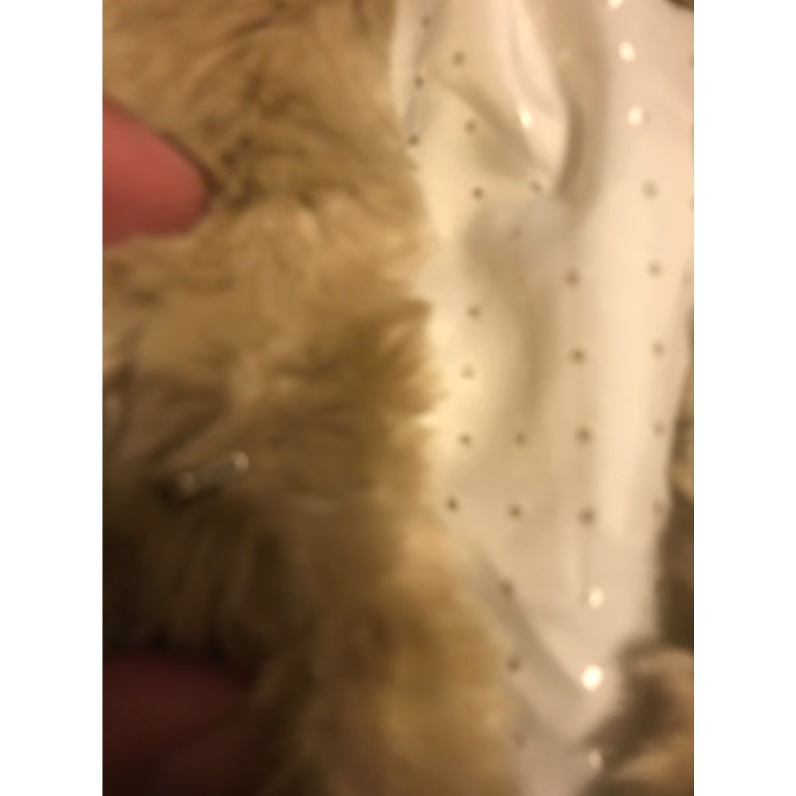 Vintage Mac + Jac Faux Fur Crop Jacket Open Front Size 10 Women Beige Polyester Short Coat/ Jacket Trend 90s (if applicable) Size L / US 10 / IT 46 - 2 Thumbnail