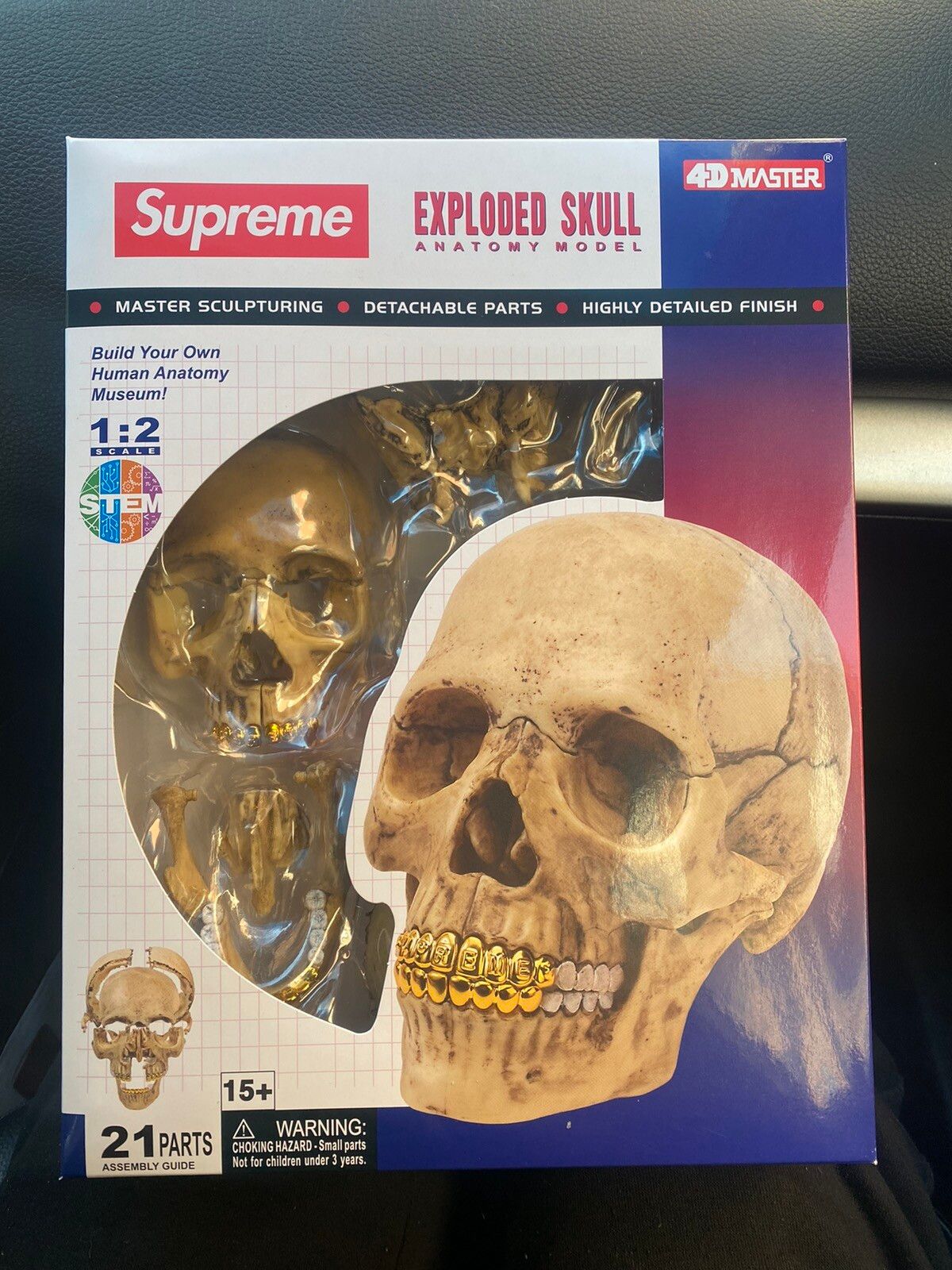 直販入荷 【新品】Supreme 4D Model Human Skull Natural | www