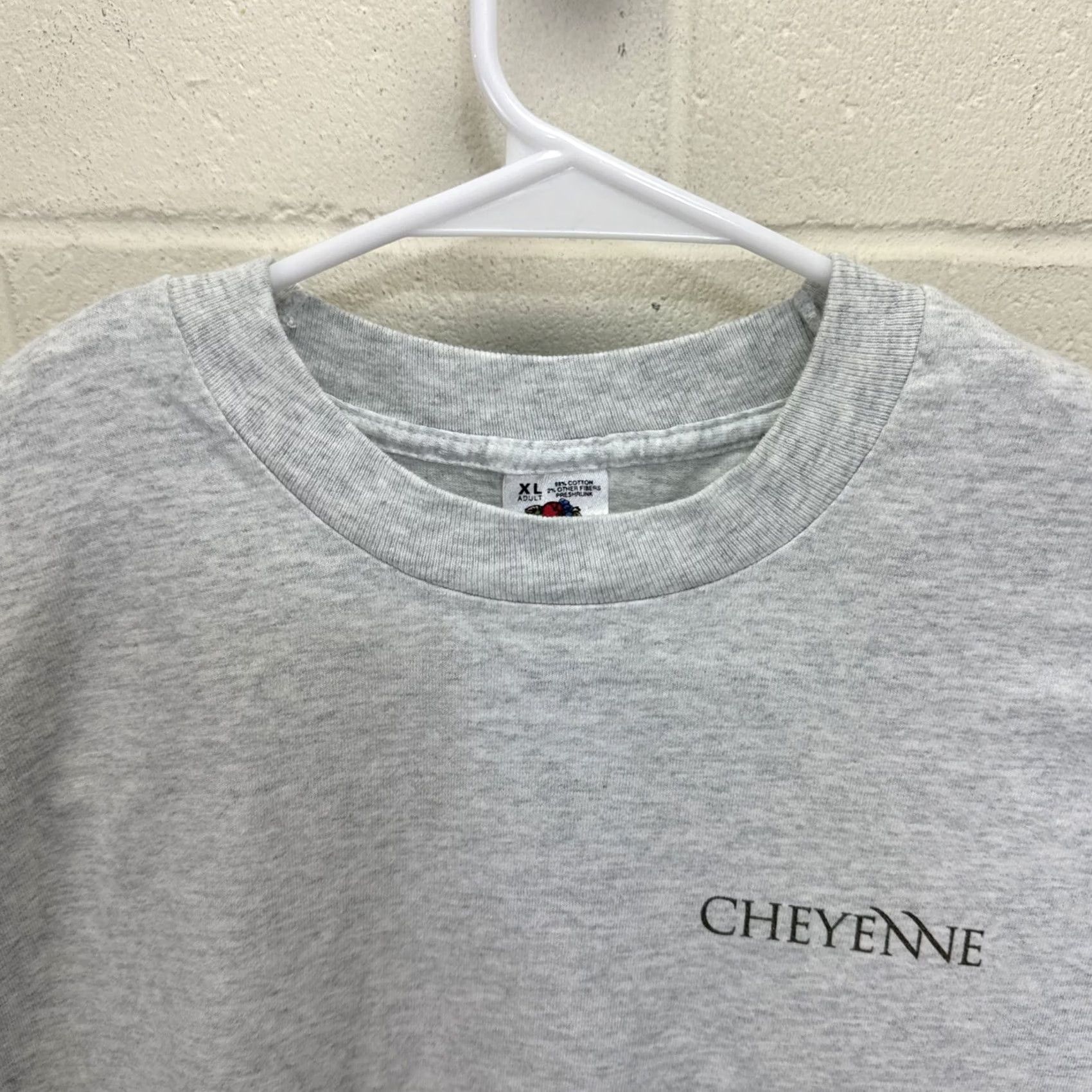 Fruit Of The Loom VINTAGE Cheyenne Software Company T Shirt XL Men Gray 90s Technology Computers Lan Network Fruit of the Loom Shirt Size US XL / EU 56 / 4 - 4 Thumbnail
