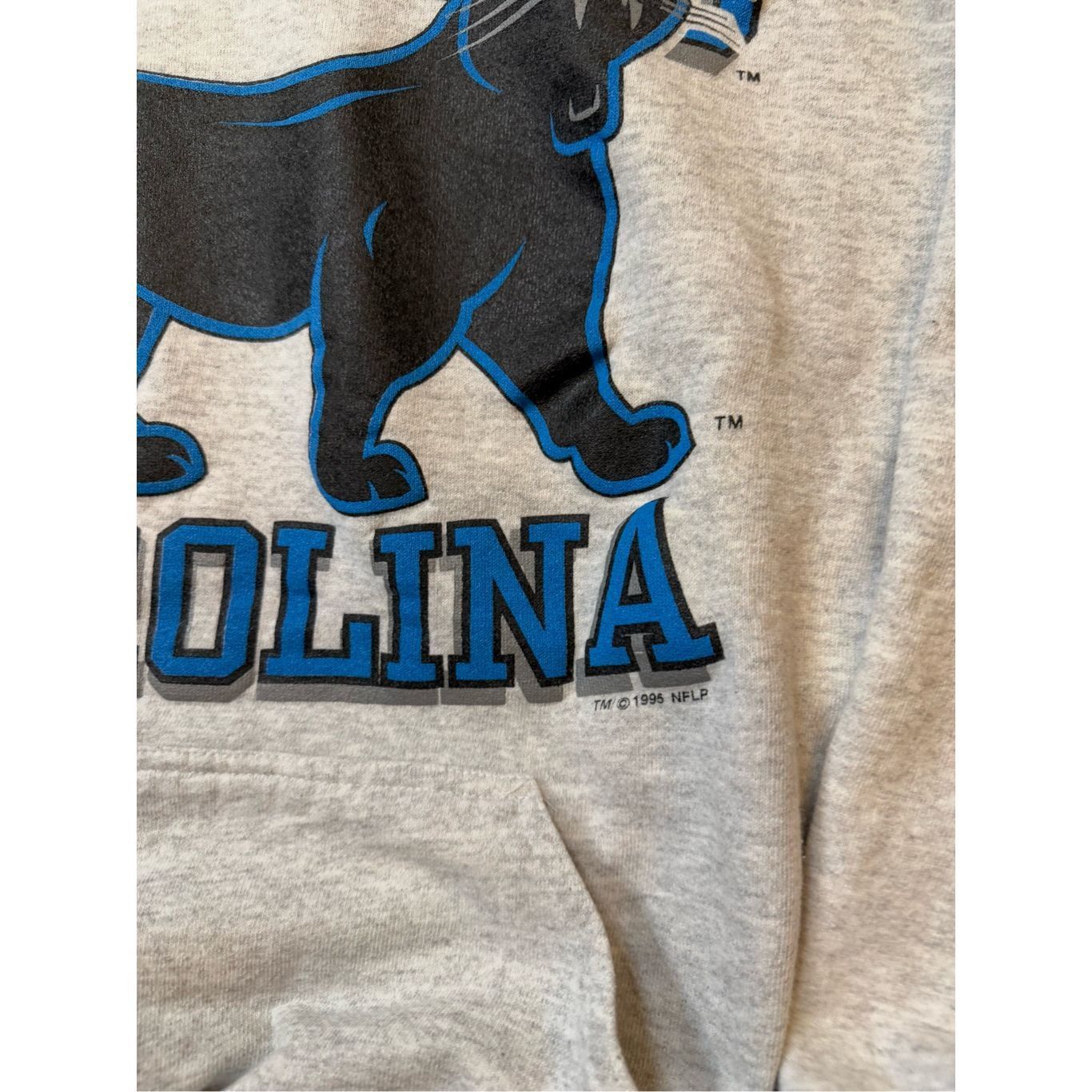 Vintage fits M grey Carolina Panthers 1995 Sweatshirt OG Rare Crewne Size US M / EU 48-50 / 2 - 2 Thumbnail