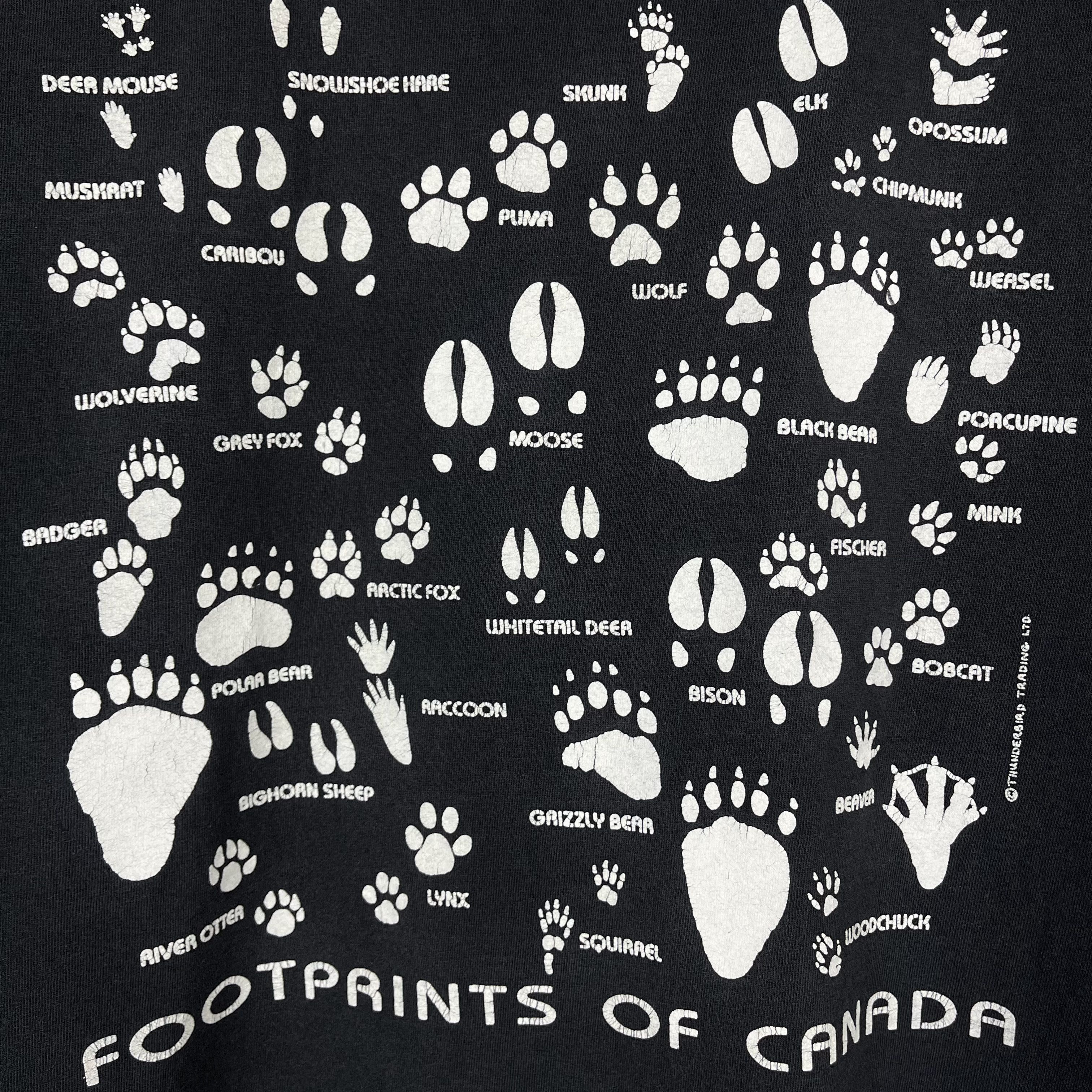 Arts & Science Vintage Footprints Of Canada Art Nature T Shirt 90’s Size US XL / EU 56 / 4 - 10 Thumbnail