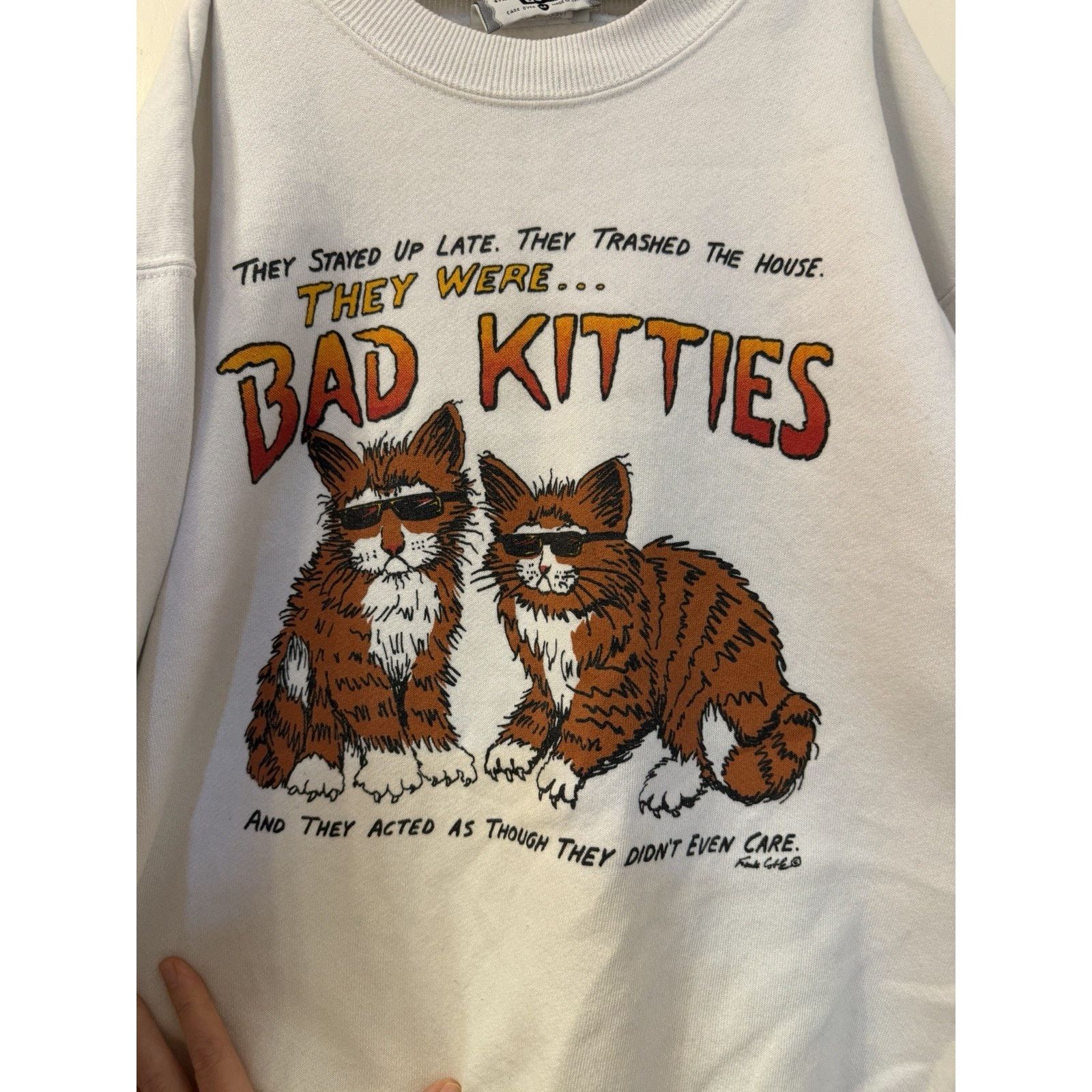 Other Vintage 90s Grunge Skate Bad Kitties Frank Coble Sweatshirt Size US M / EU 48-50 / 2 - 4 Thumbnail