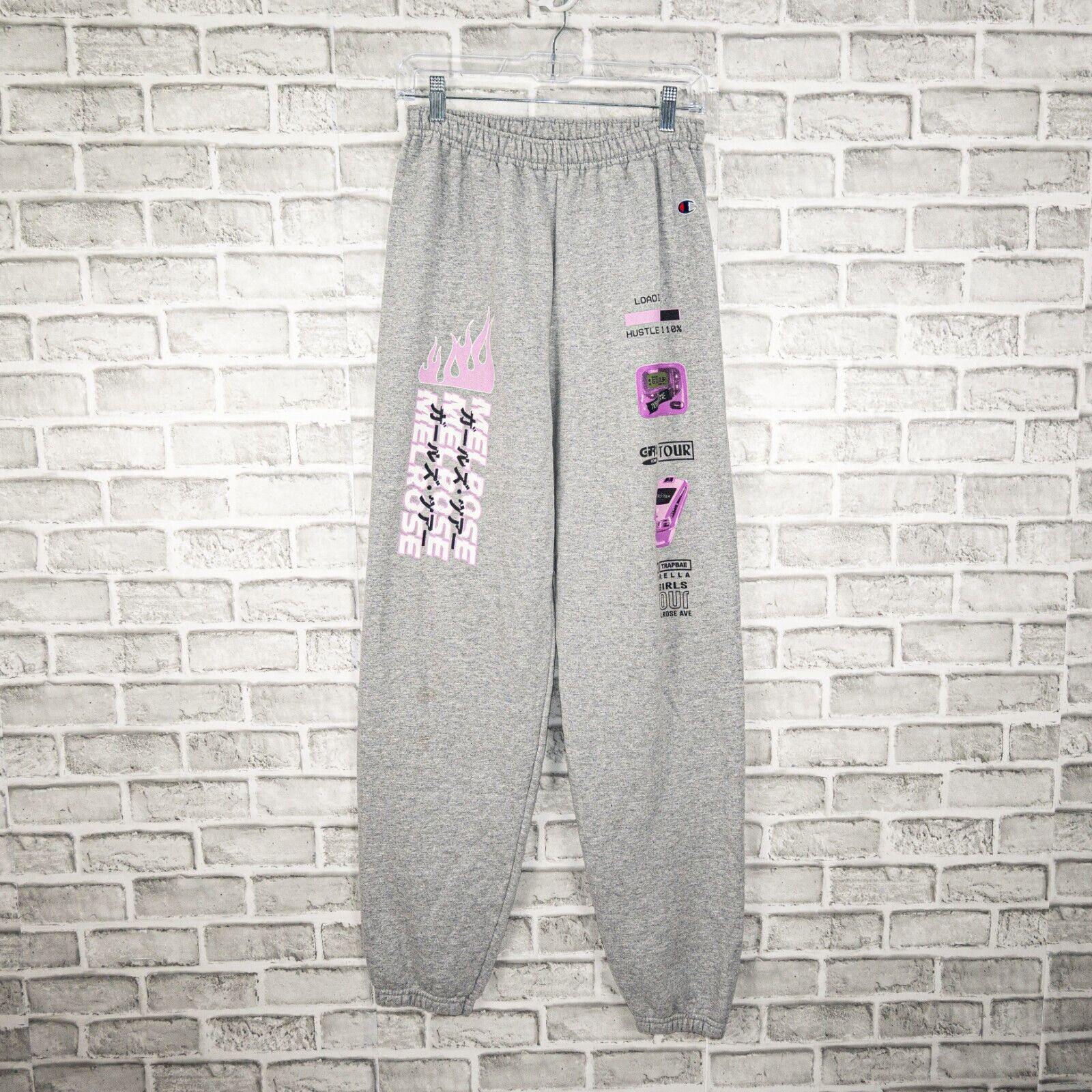 Champion Champion x Sorella the Girls Tour Melrose Sweatpants in Gray Size 28" / US 6 / IT 42 - 4 Thumbnail