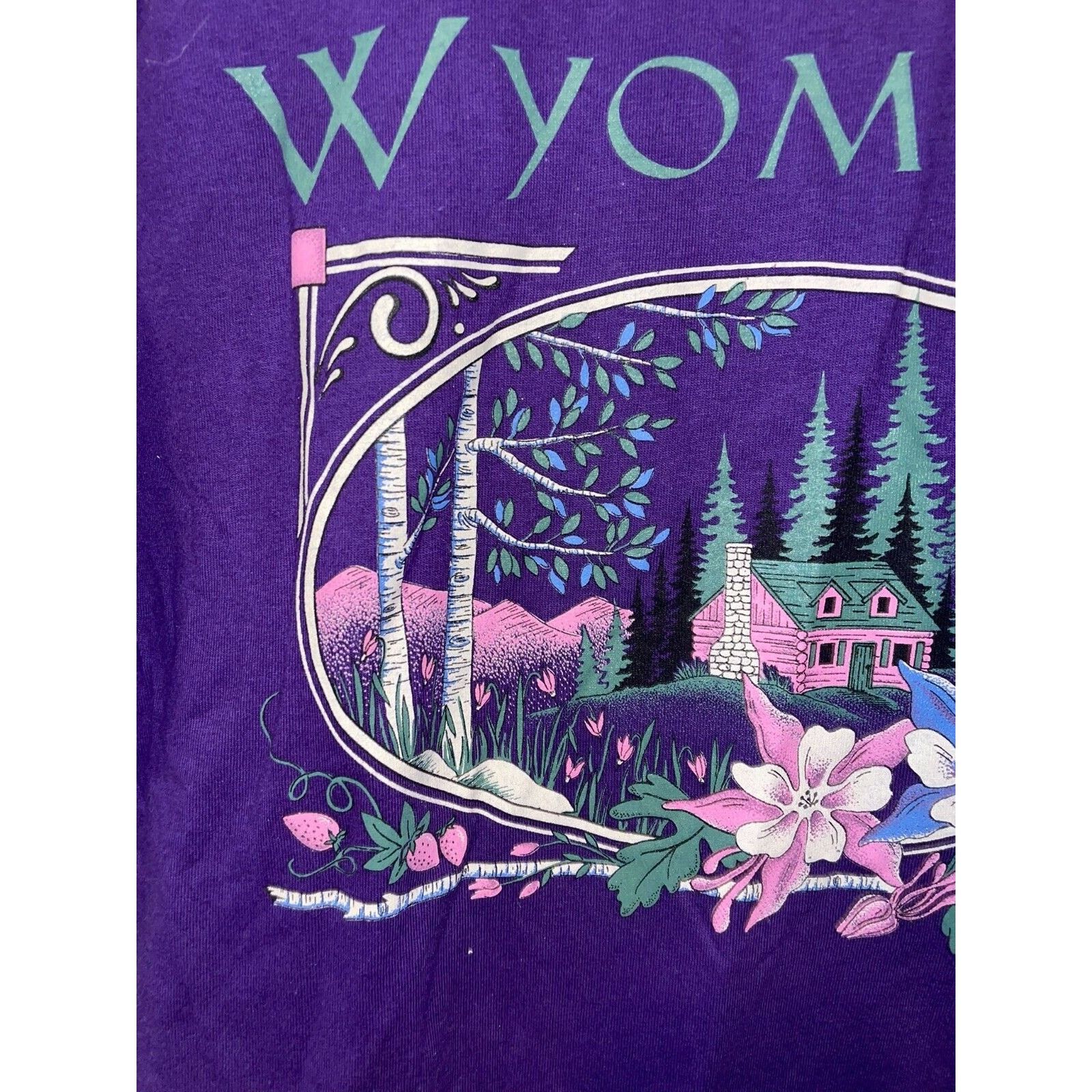 Jerzees Vintage Wyoming Shirt Mountain Cabin Tee VTG 90s L Large Size US L / EU 52-54 / 3 - 2 Thumbnail