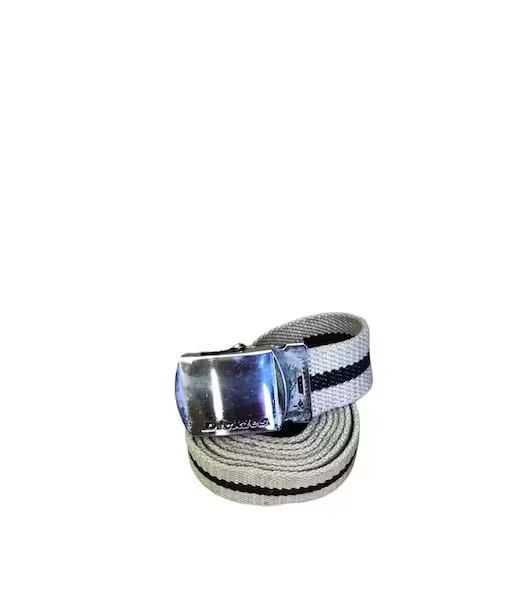 Dickies Dickeis Canvas Buckle Belt Size ONE SIZE - 1 Thumbnail