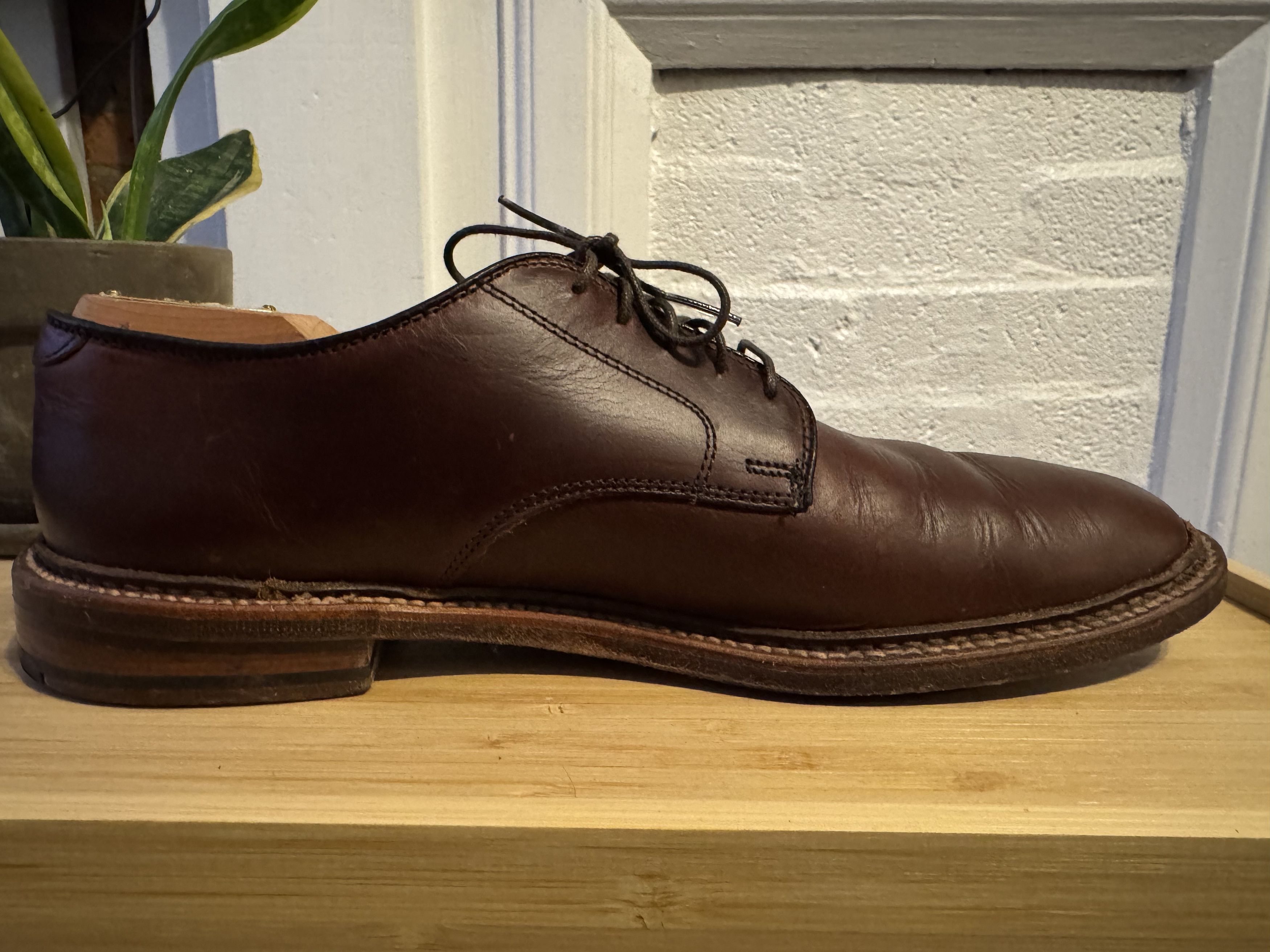 Alden Alden Unlined Plain Toe Blucher Size US 9.5 / EU 42-43 - 5 Thumbnail
