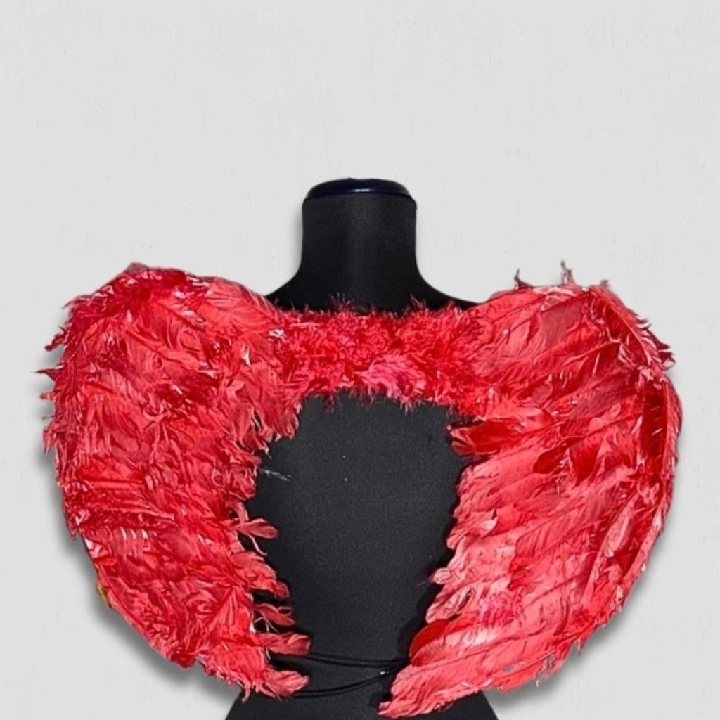 Vintage Feather Devil Angel Wings Costume Backpack-Style Red OS Size ONE SIZE - 1 Thumbnail