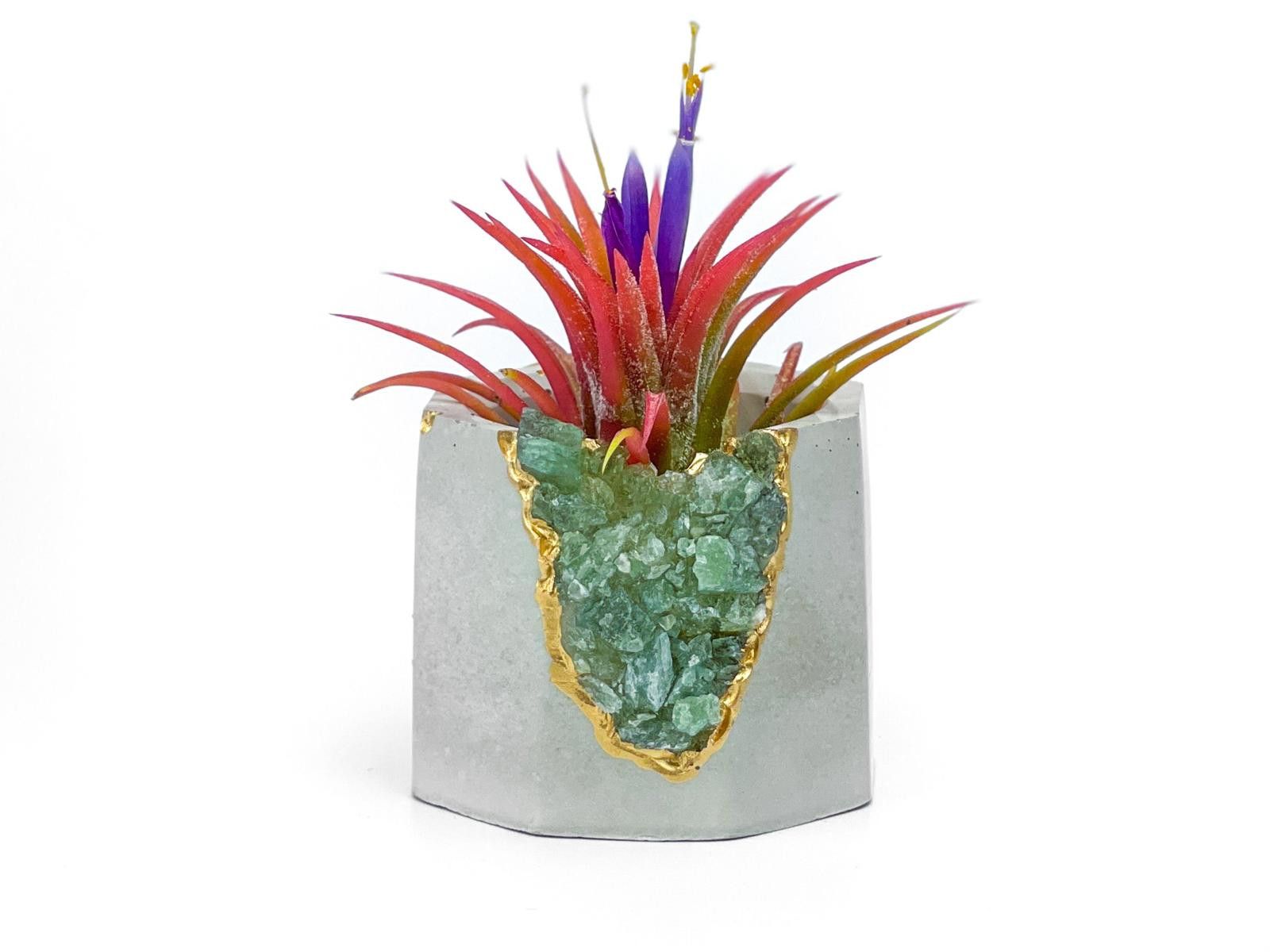 Other Green Apatite Crystal Planter | Handmade Concrete Geode Pot Size ONE SIZE - 6 Thumbnail