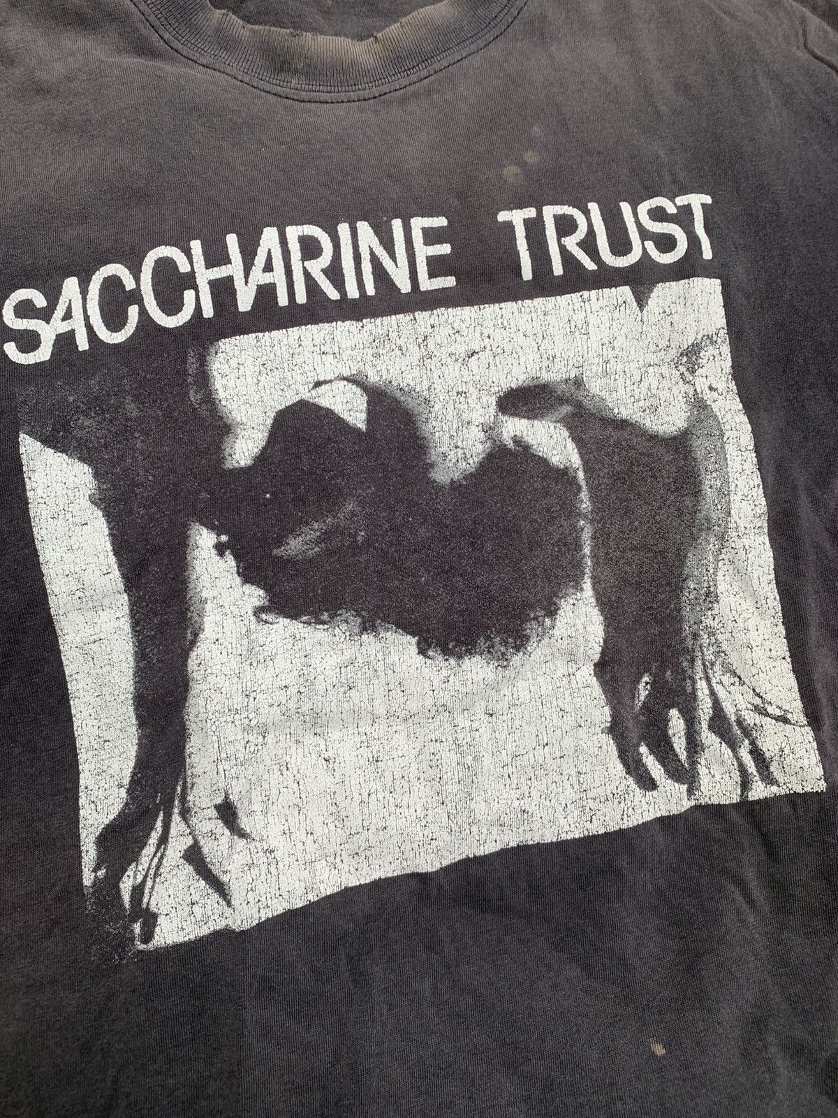 Band Tees Band Tees Trashed Saccharine Trust Sunfaded Size US M / EU 48-50 / 2 - 2 Thumbnail
