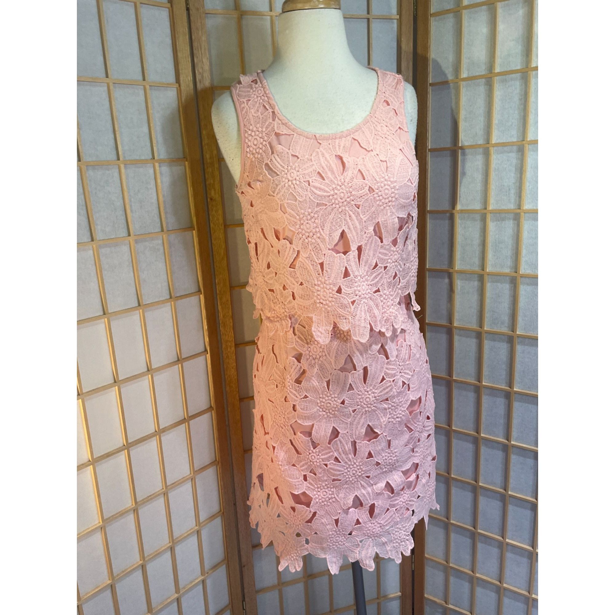 Other Francesca's Miami Sm Lace Floral Dress Size S / US 4 / IT 40 - 13 Thumbnail