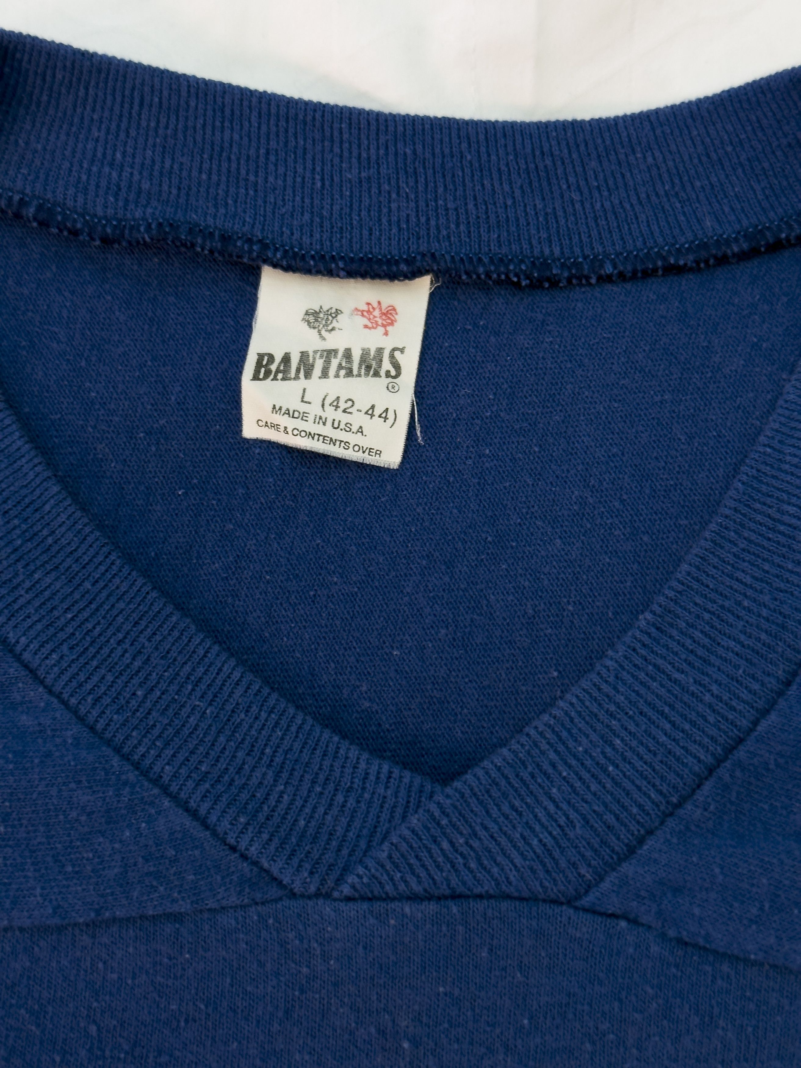 Other Vintage Snowbird Ski Graphic V-Neck Single Stitch (USA) Size US L / EU 52-54 / 3 - 4 Thumbnail