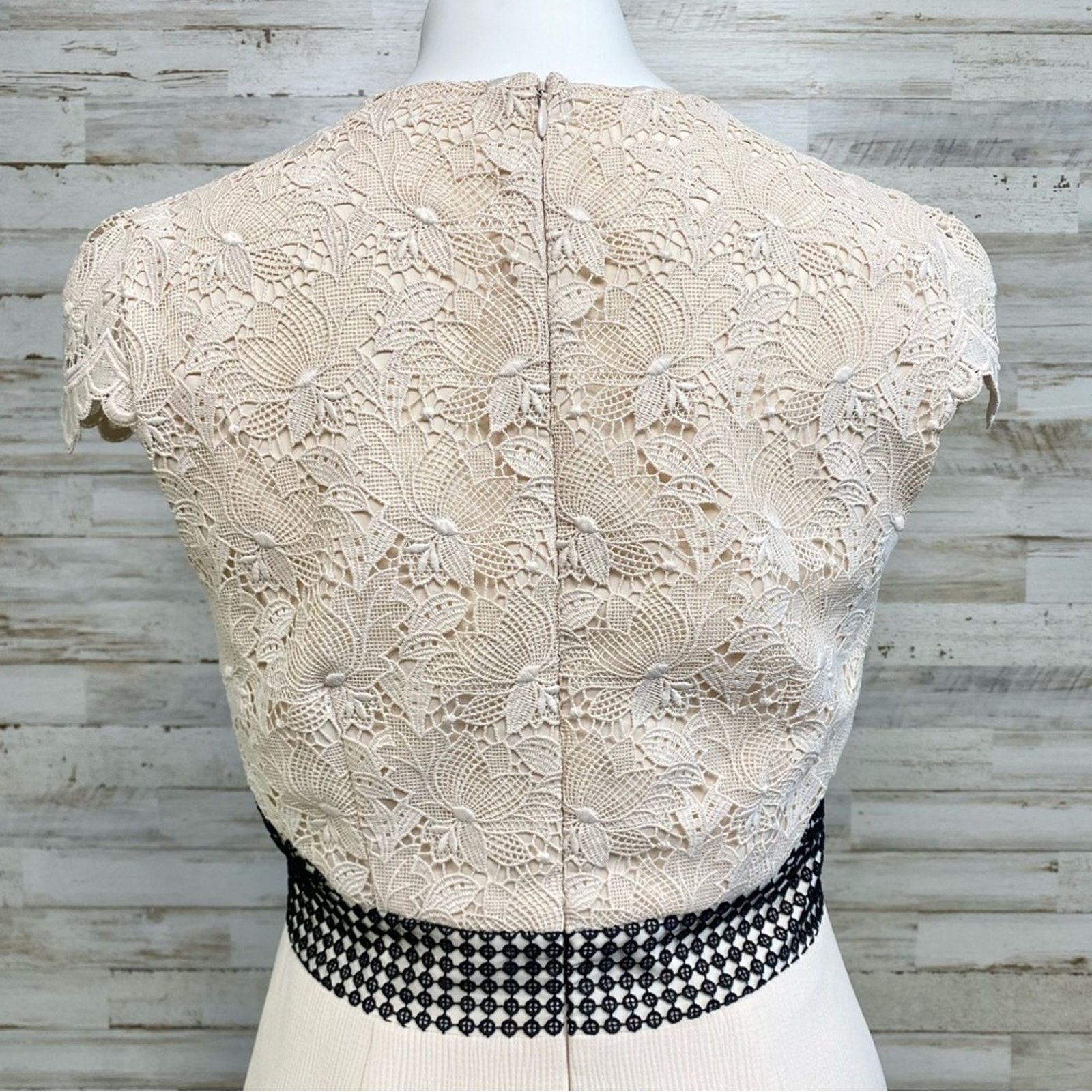 Club Monaco Club Monaco Zulandah Lace Crochet Dress Size 4 Cream Black Size S / US 4 / IT 40 - 11 Thumbnail