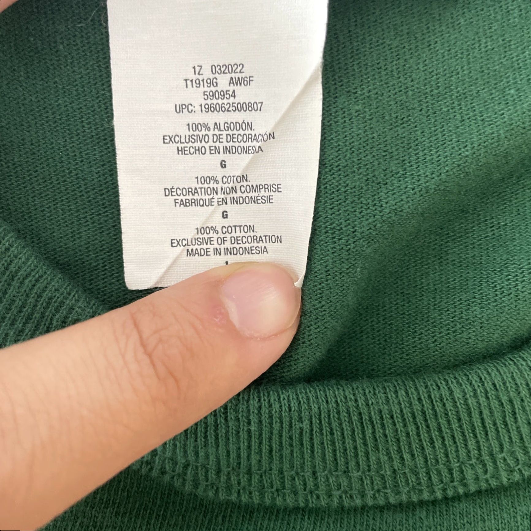Champion Champion Beefy Spellout Graphic Tee Shirt Mens Large Green Short Sleeve Crewneck Size US L / EU 52-54 / 3 - 5 Thumbnail