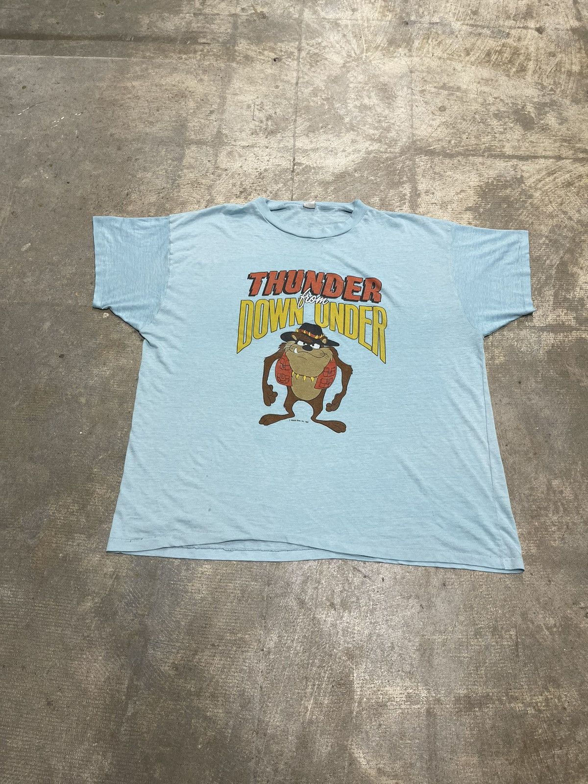 Vintage Vintage 1987 Taz Looney Tunes Thunder From Down Under Tee | Grailed