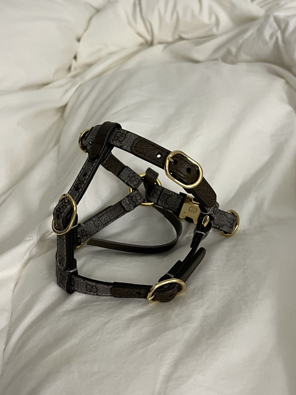Gucci Extra Small Gucci Dog Collar Size ONE SIZE - 1 Thumbnail