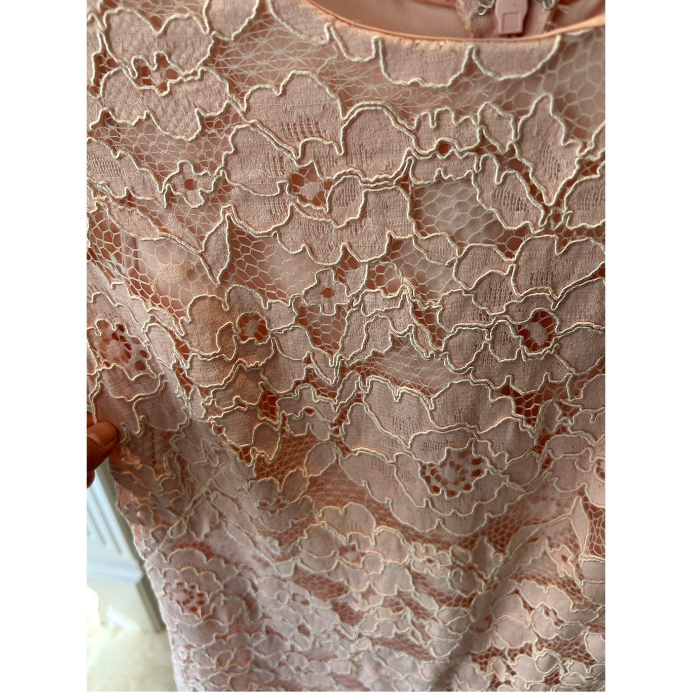 Lauren Ralph Lauren Lauren Ralph Lauren Women’s Petite Pink Lace Sheath Formal E Size XL / US 12-14 / IT 48-50 - 4 Thumbnail