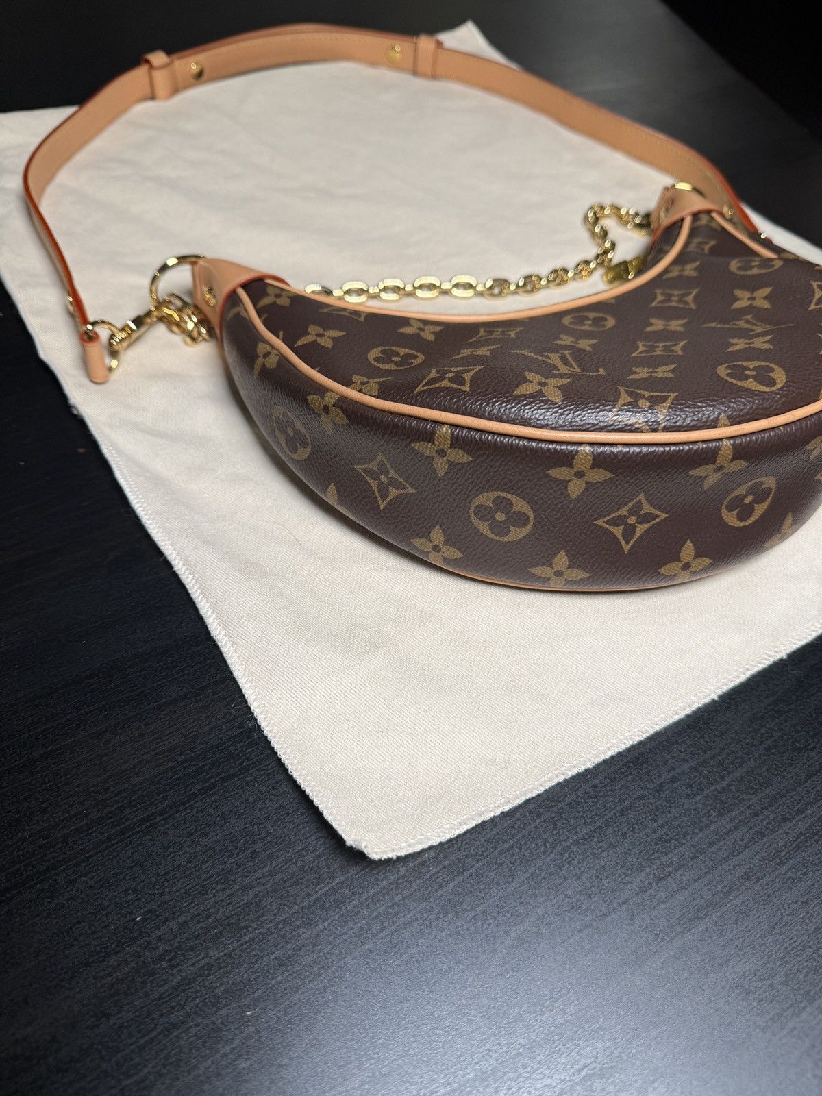 Louis Vuitton LOUIS VUITTON LOOP MONOGRAM BAG Size ONE SIZE - 7 Thumbnail