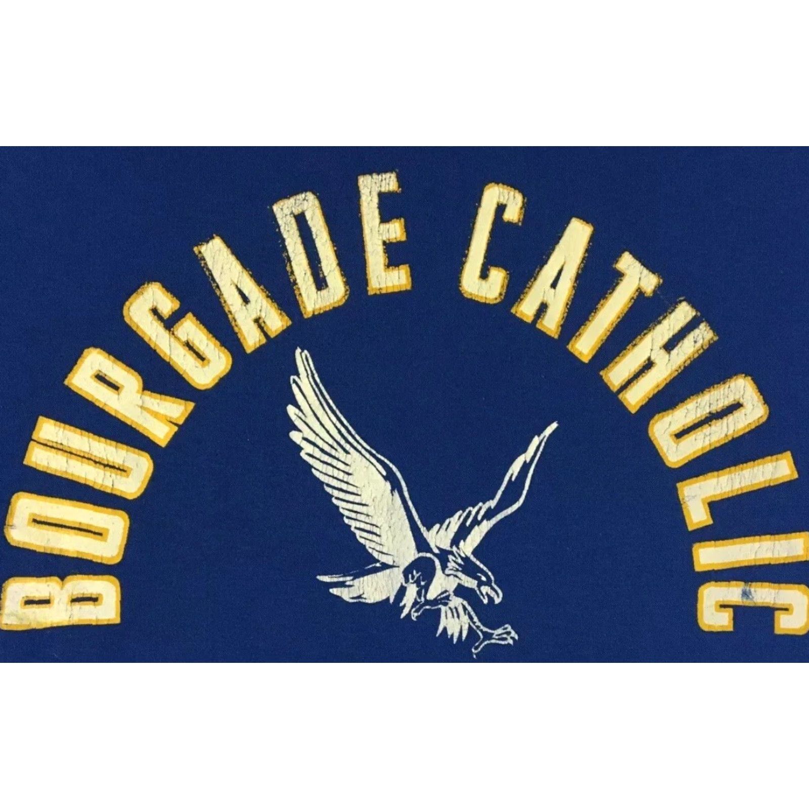 VINTAGE Bourgade Catholic School 90s Blue T-Shirt L Men Short Sleeve Distressed Track & Field PE Grunge 80s Animals University College USA USA