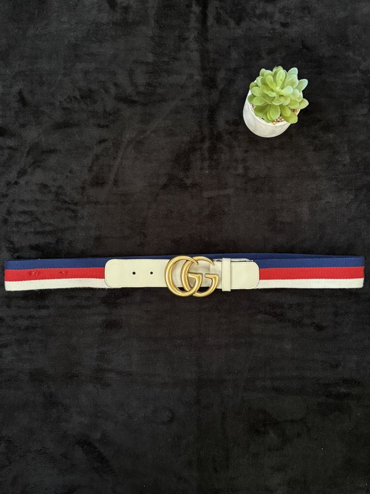 Gucci Gucci GG Web Belt – White Size ONE SIZE - 1 Thumbnail