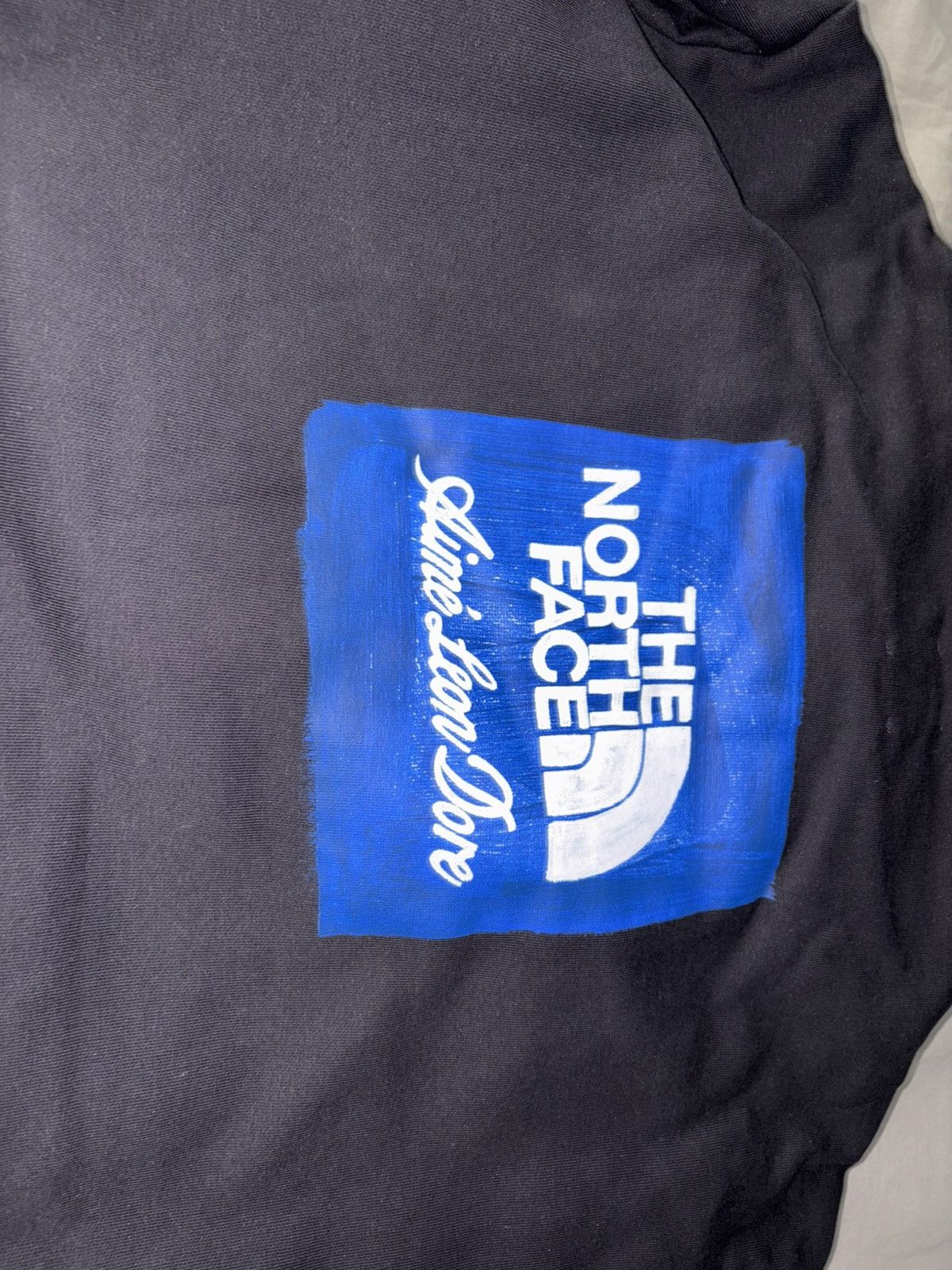 The North Face Aime Leon Dore Logo フーディー M Aime Leon dore x