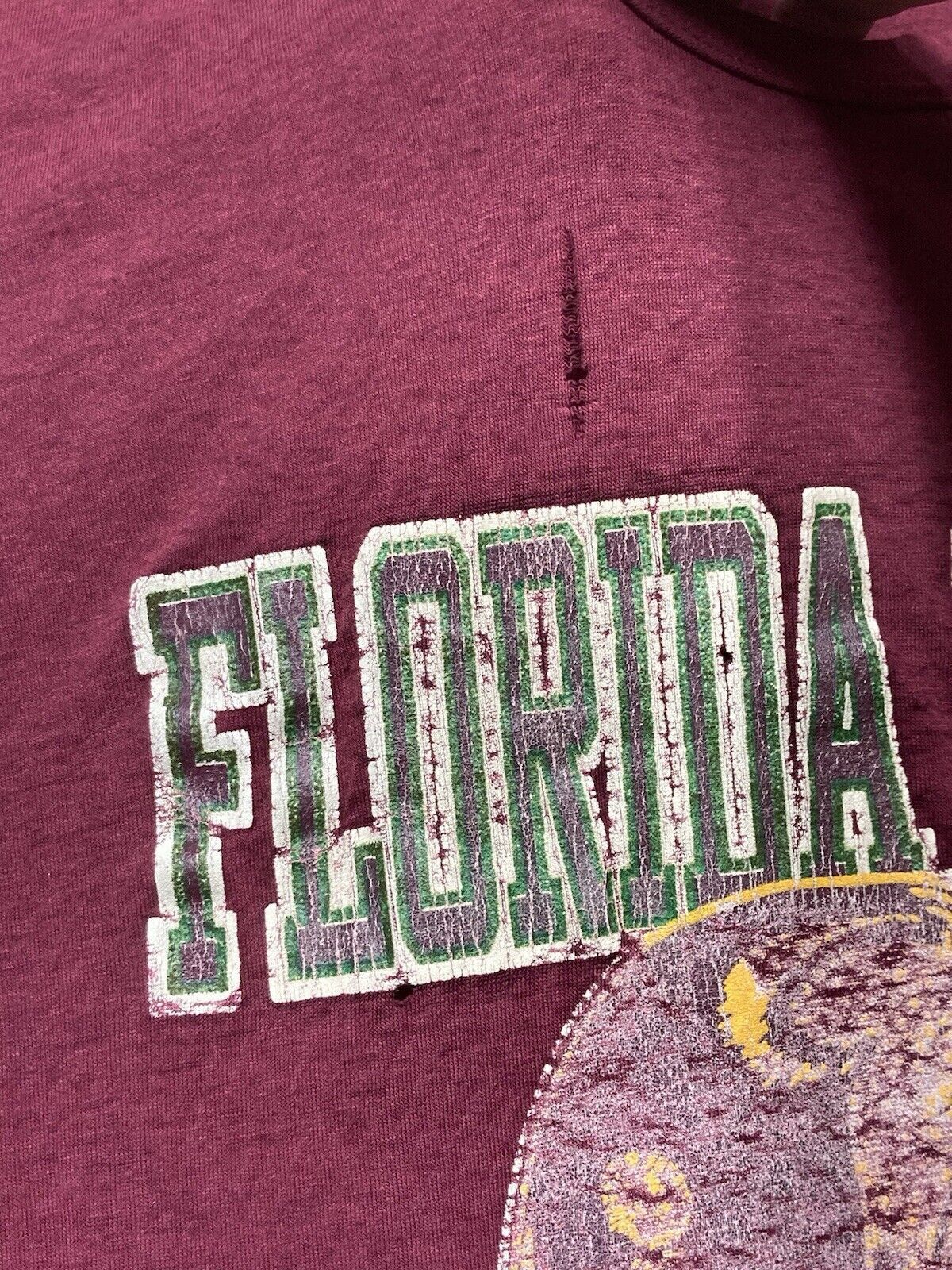 Champion × Vintage 80s t shirt FSU florida state seminoles champion faded XL Size US XL / EU 56 / 4 - 4 Thumbnail