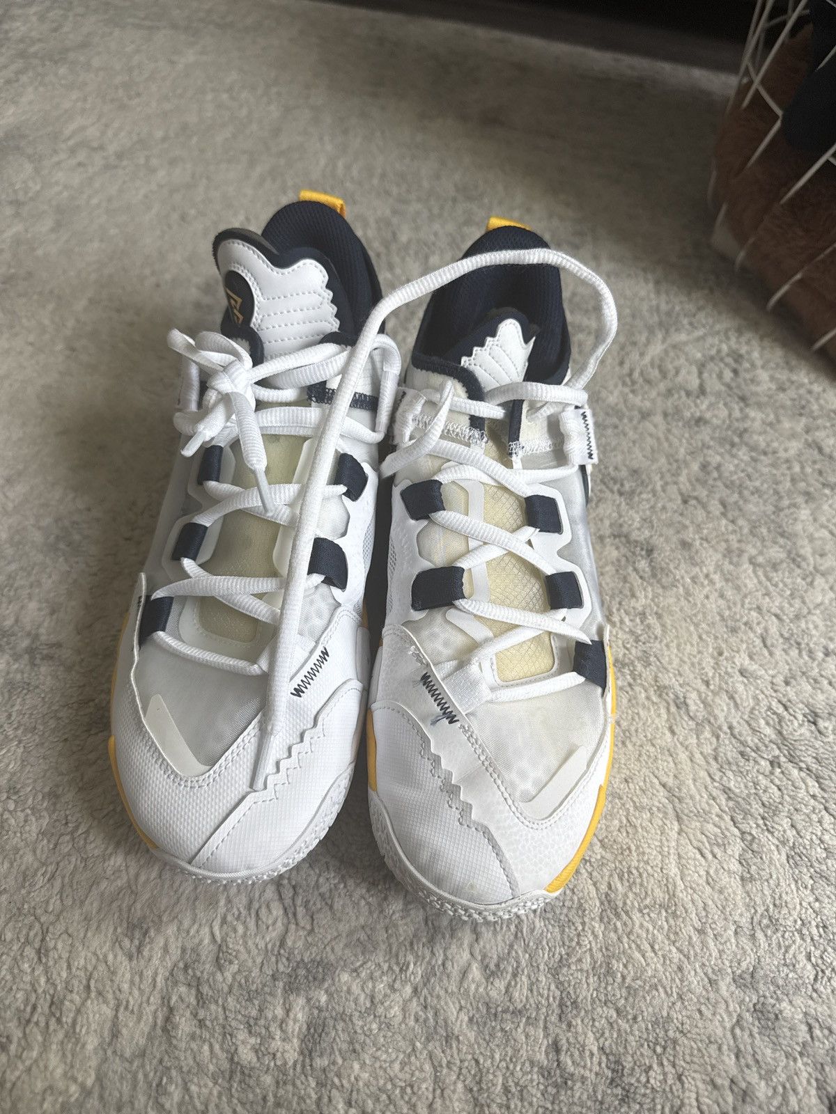 Jordan Brand Michigan PE’s Size US 8 / EU 41 - 3 Thumbnail
