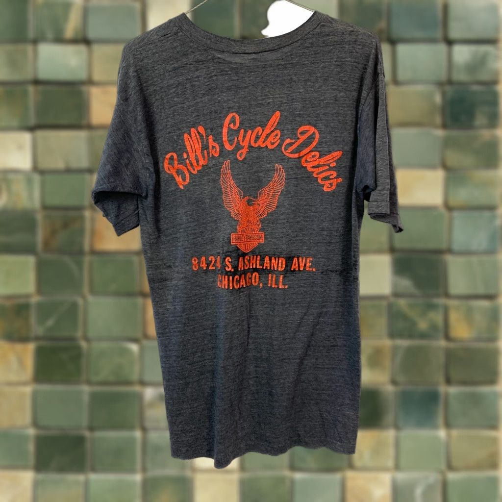 Harley Davidson VINTAGE Harley Davidson Bill's Cycle Delics Chicago T-Shirt L Healthknit Gray 70s Mens Size US L / EU 52-54 / 3 - 1 Thumbnail