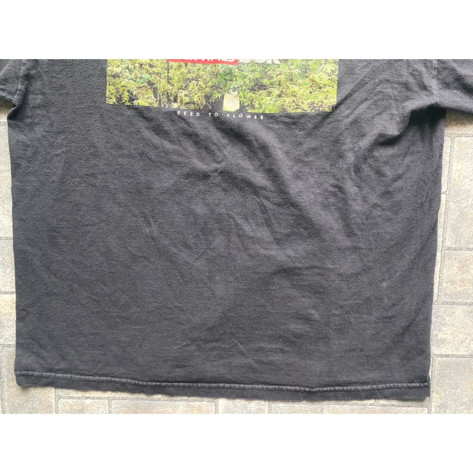DGK DGK T Shirt Men’s XL High Times Seed To Flower Graphic Black Short Sleeve Men XL Black Graphic Seed To Flower High Times DGK Shirt Size US XL / EU 56 / 4 - 2 Thumbnail