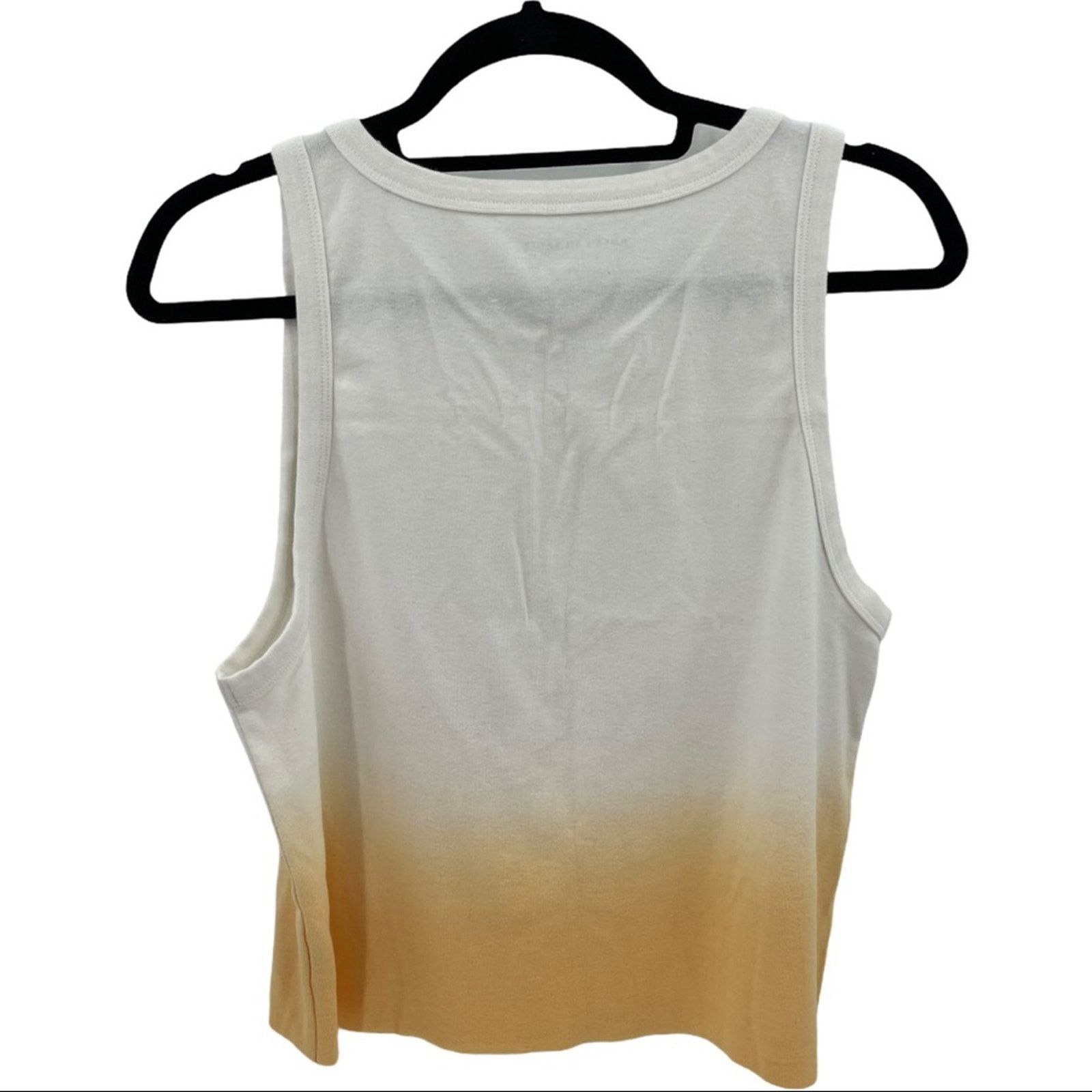 American Eagle Outfitters American Eagle Ombre Raw Hem Tank Top Size L Size L / US 10 / IT 46 - 7 Thumbnail