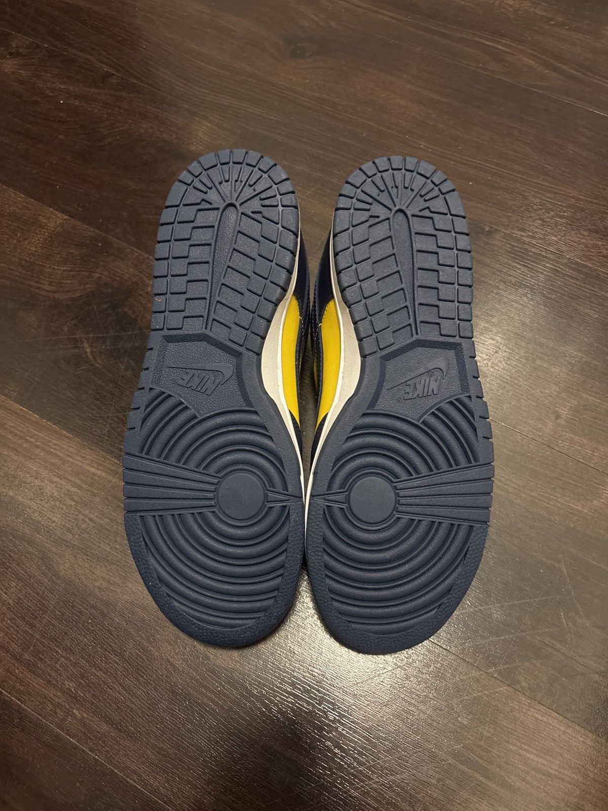Nike Michigan Dunk Lows Size US 8.5 / EU 41-42 - 5 Thumbnail