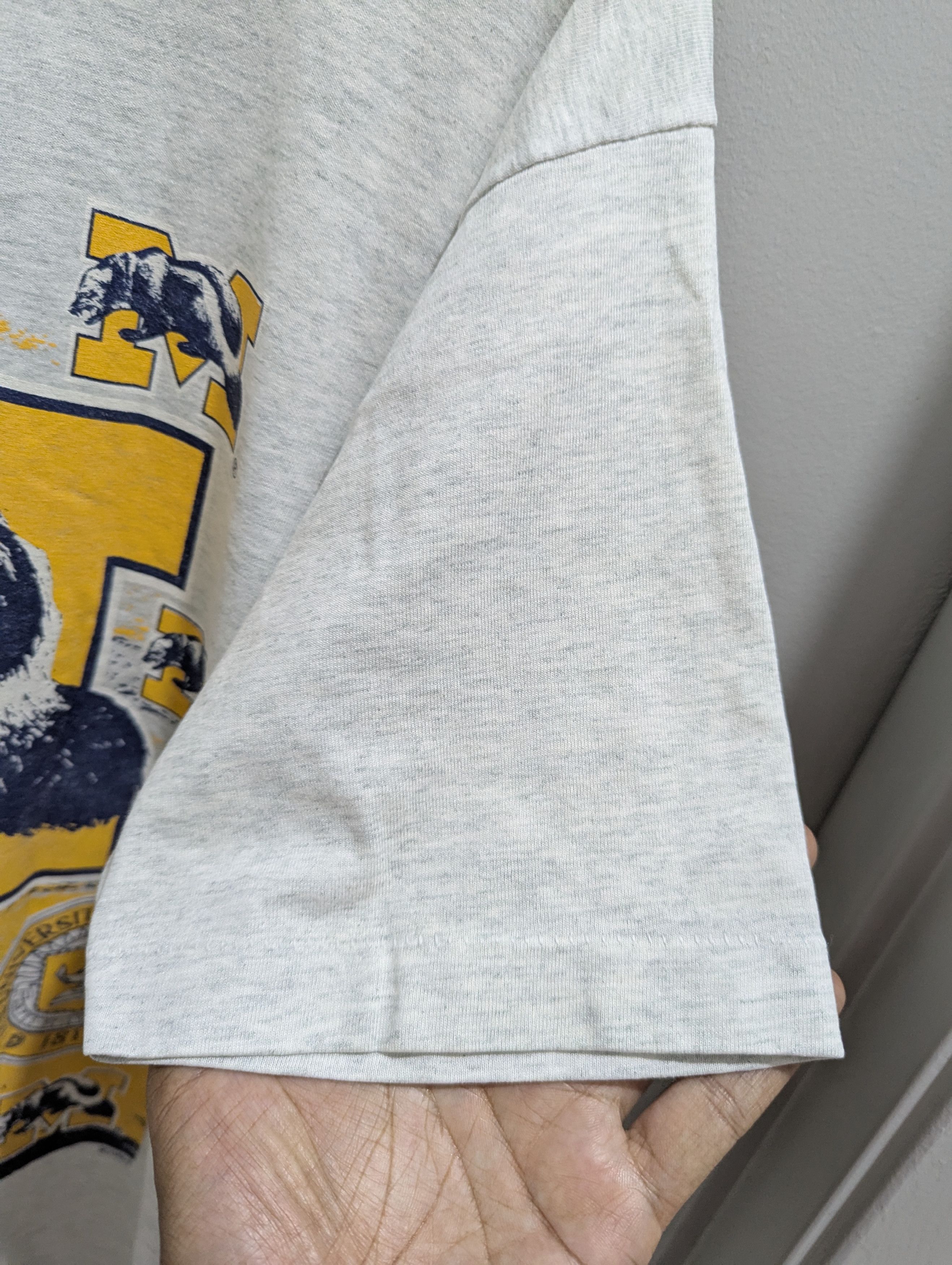Fruit Of The Loom × Vintage Vintage wolverines university of Michigan royal-t Size US L / EU 52-54 / 3 - 3 Thumbnail