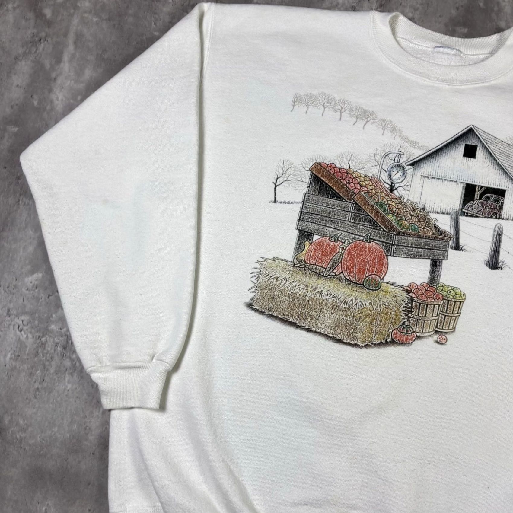 Vintage VINTAGE 90s Farm Barn Pumpkin Nature Crewneck Sweatshirt Adult Large Orange Logo Graphic Print Mens Size US L / EU 52-54 / 3 - 7 Thumbnail