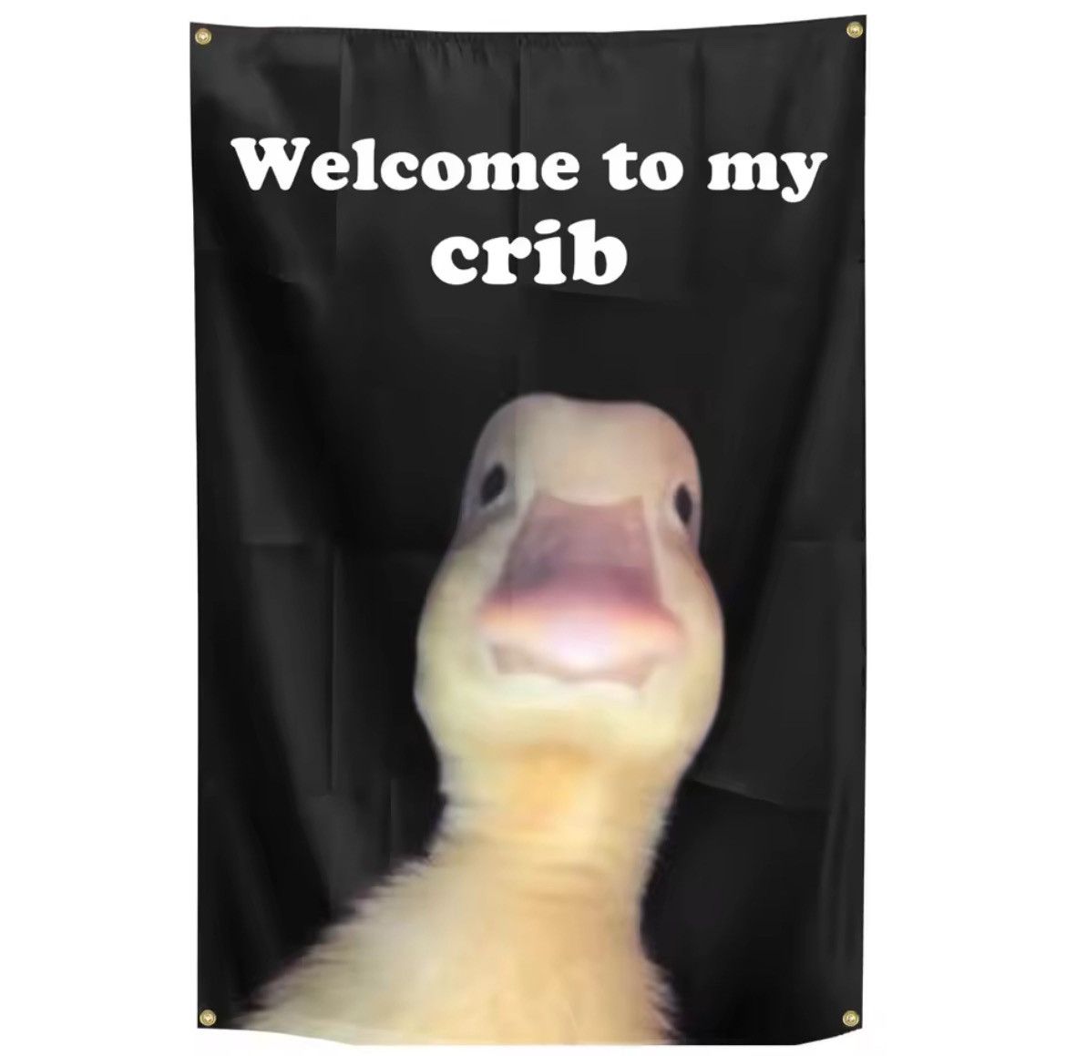 Other "Welcome to My Crib" Flag With Brass Grommet Decor Size ONE SIZE - 1 Thumbnail
