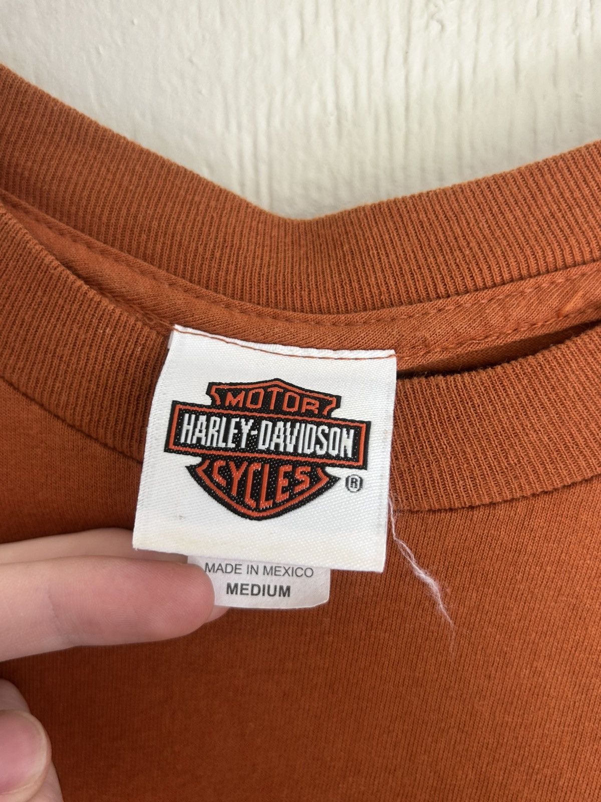 Harley Davidson Harley Davidson Hillbilly Smoky Mountain Faded Orange L/S Size US M / EU 48-50 / 2 - 5 Thumbnail