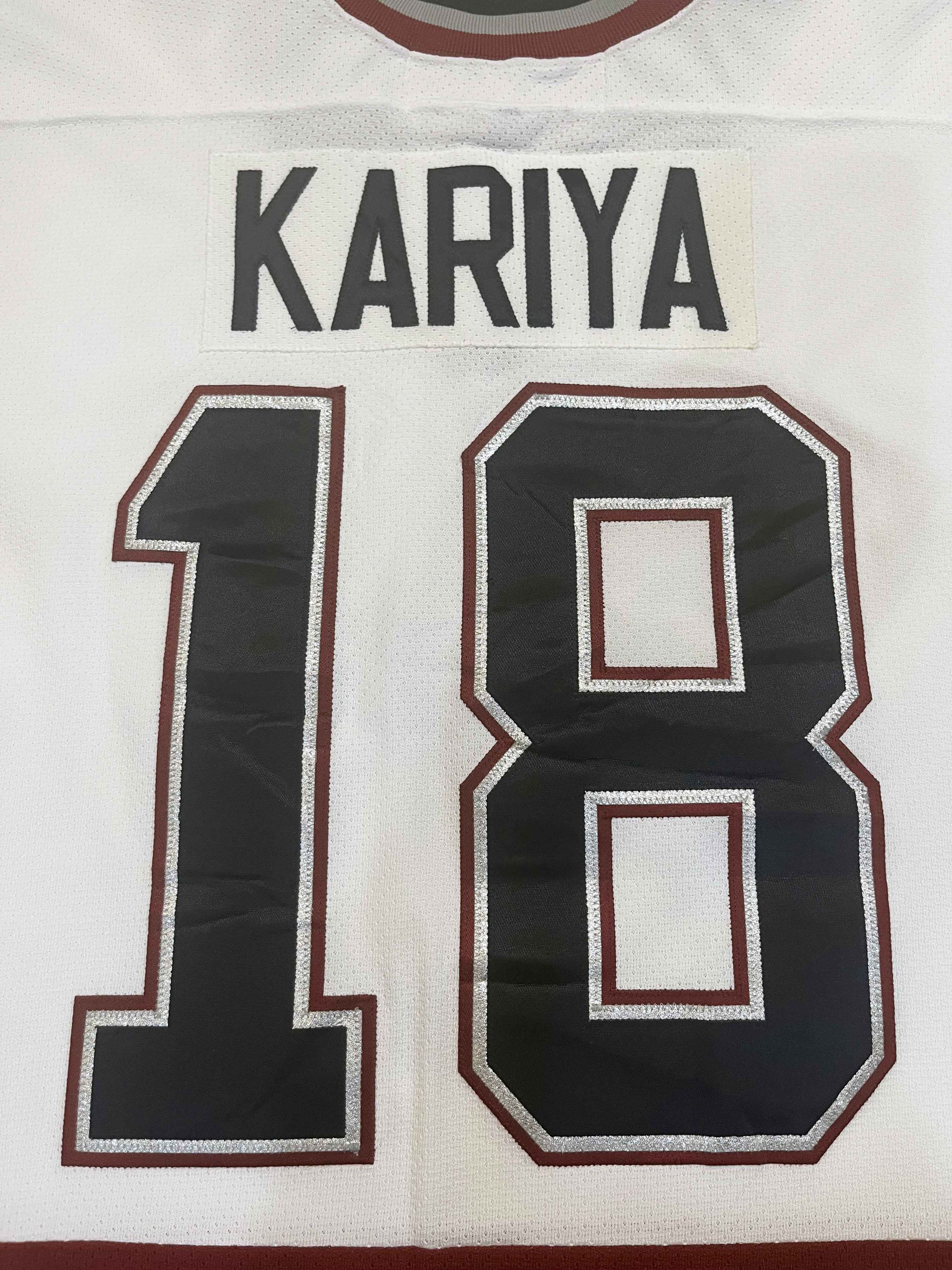 Ccm × NHL CCM Vancouver Canucks STEVE KARIYA #18 NHL Hockey Jersey Size US M / EU 48-50 / 2 - 5 Thumbnail