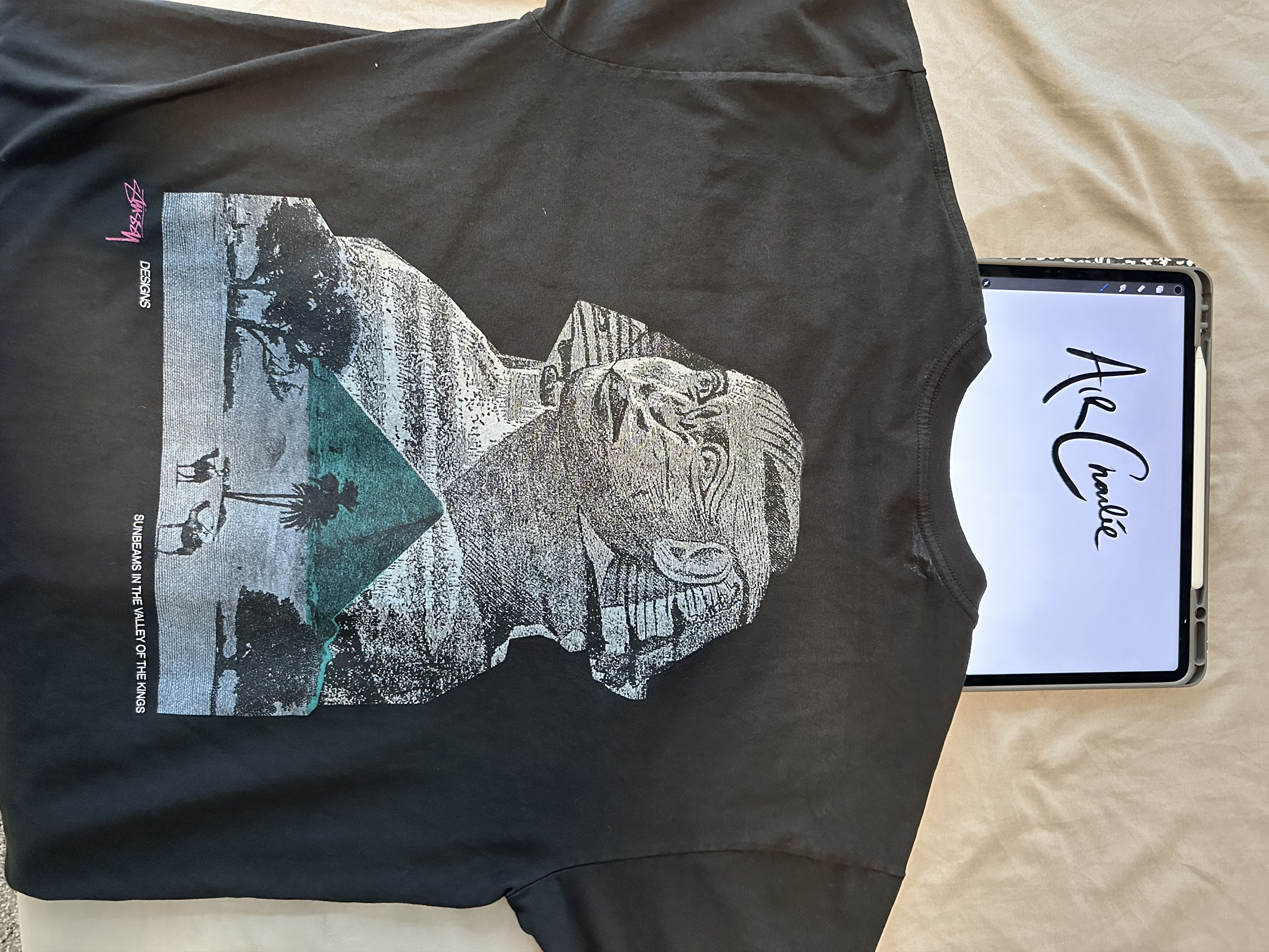 Stussy Stussy sphinx tee Size US L / EU 52-54 / 3 - 1 Thumbnail