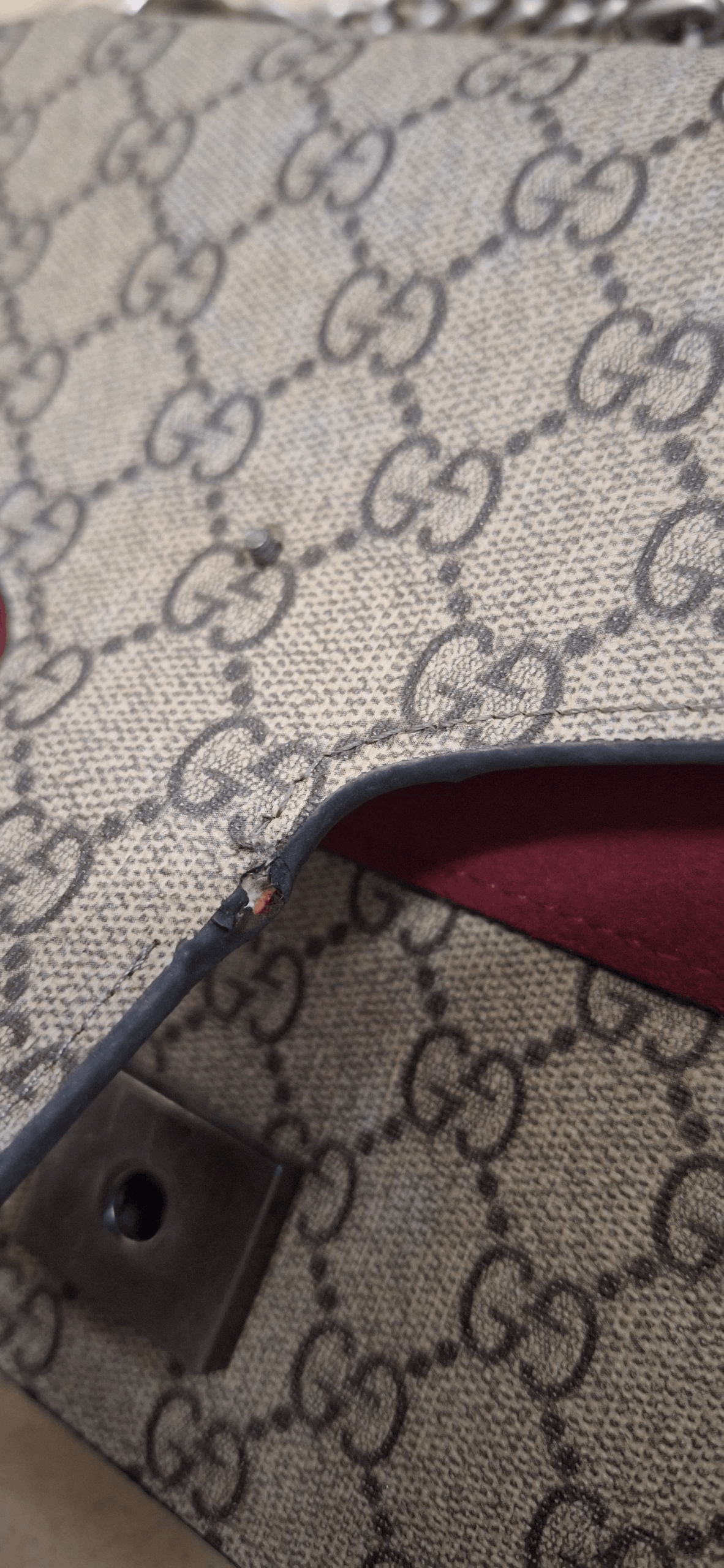 Gucci Gucci Dionysus GG Supreme Mini Bag Size ONE SIZE - 4 Thumbnail